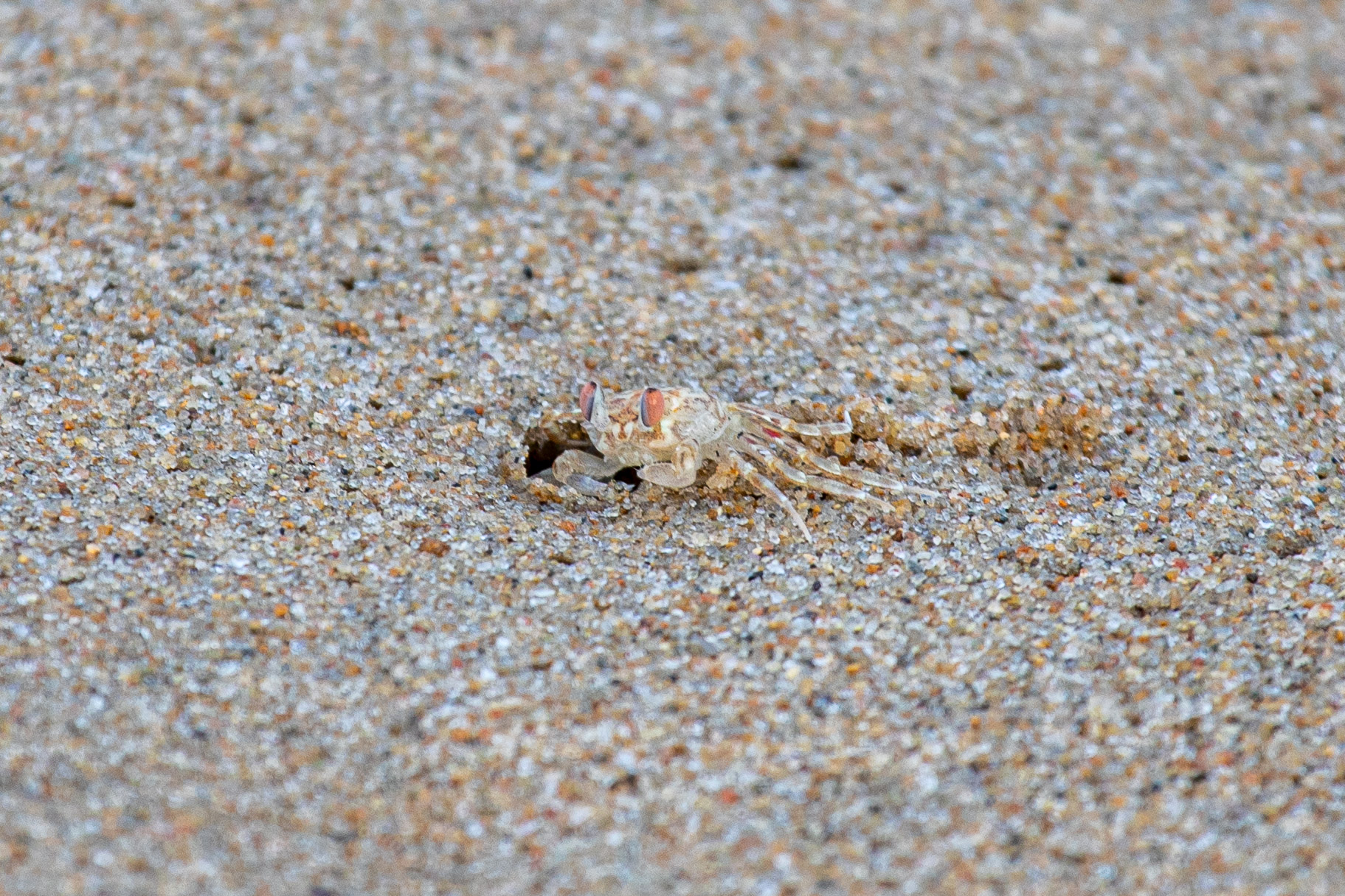 20240118173952 RD4 1175