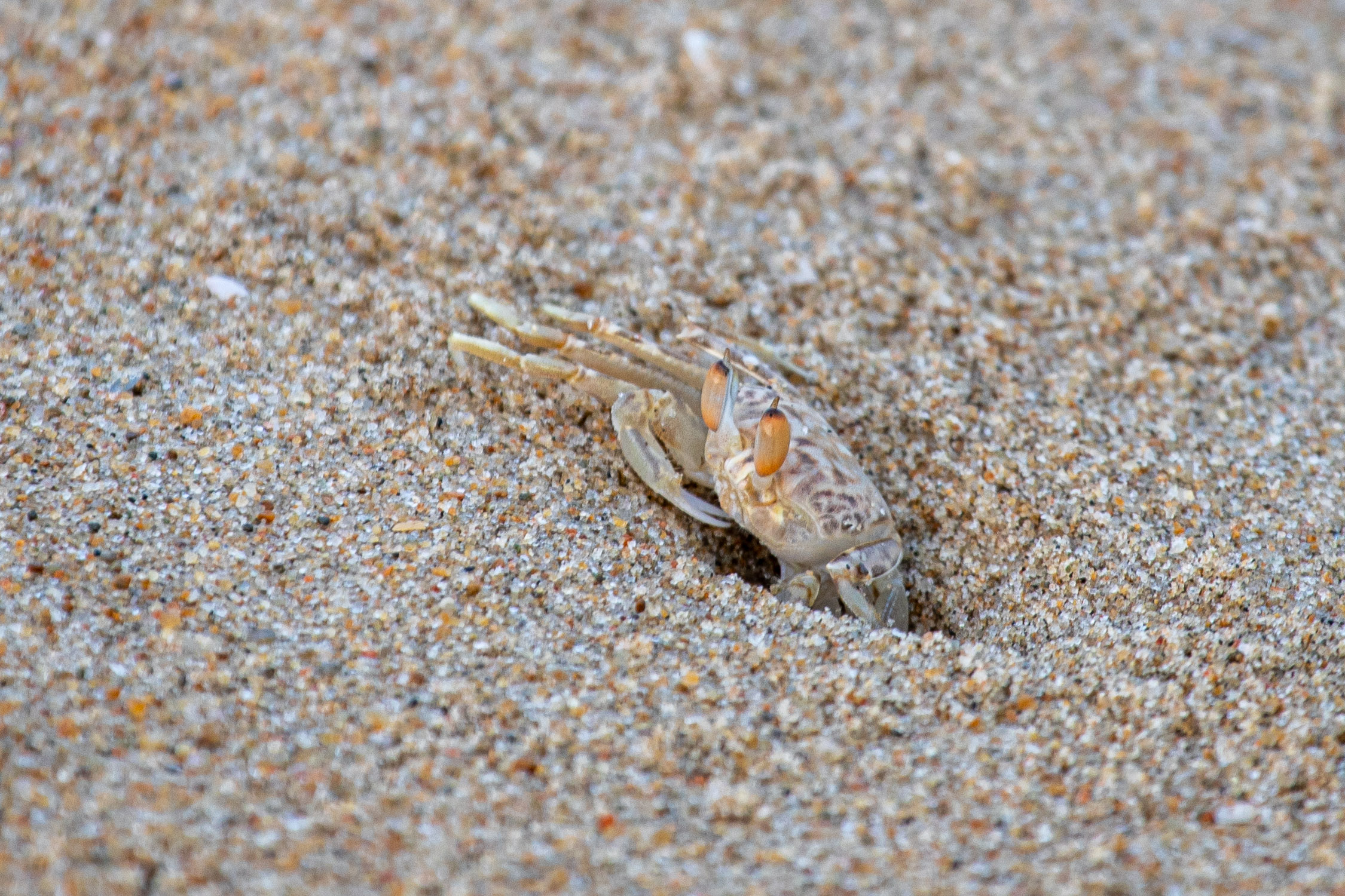 20240118174041 RD4 1179