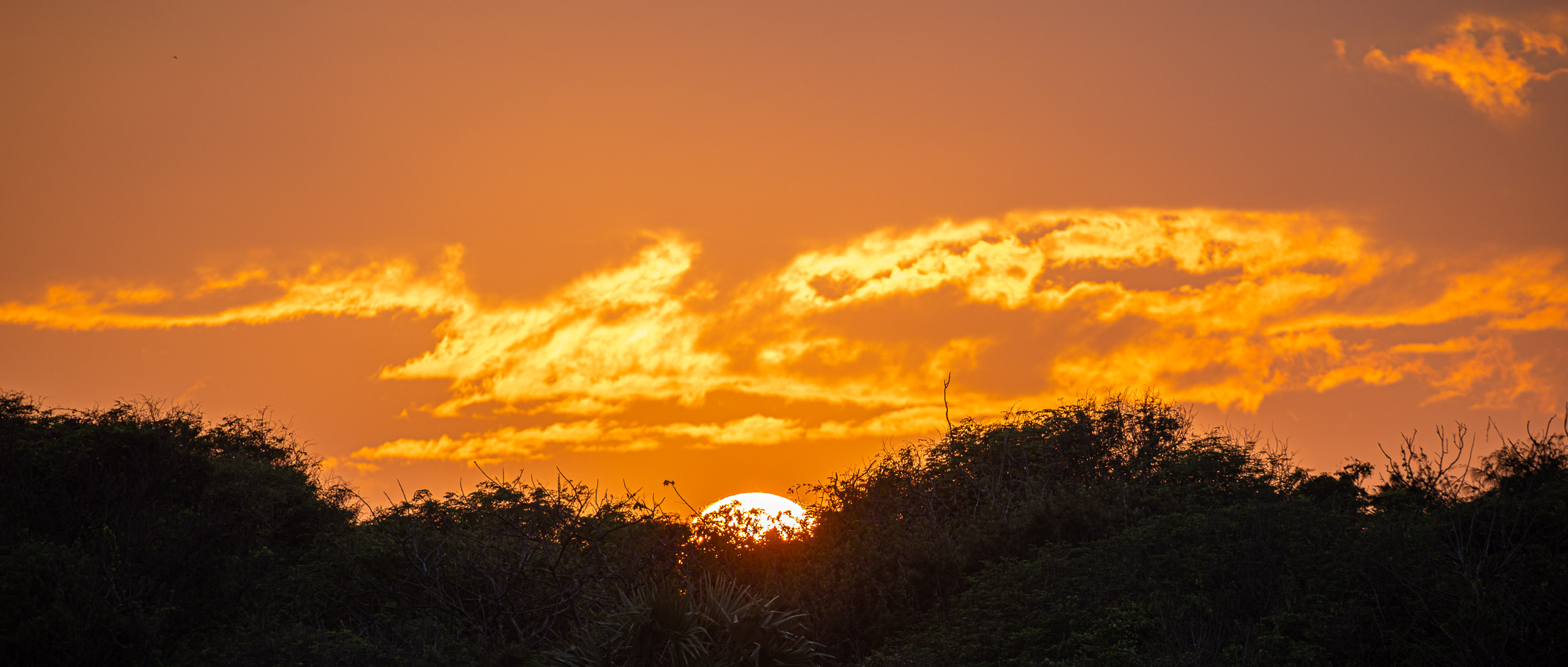 20240118174822 RD4 1191