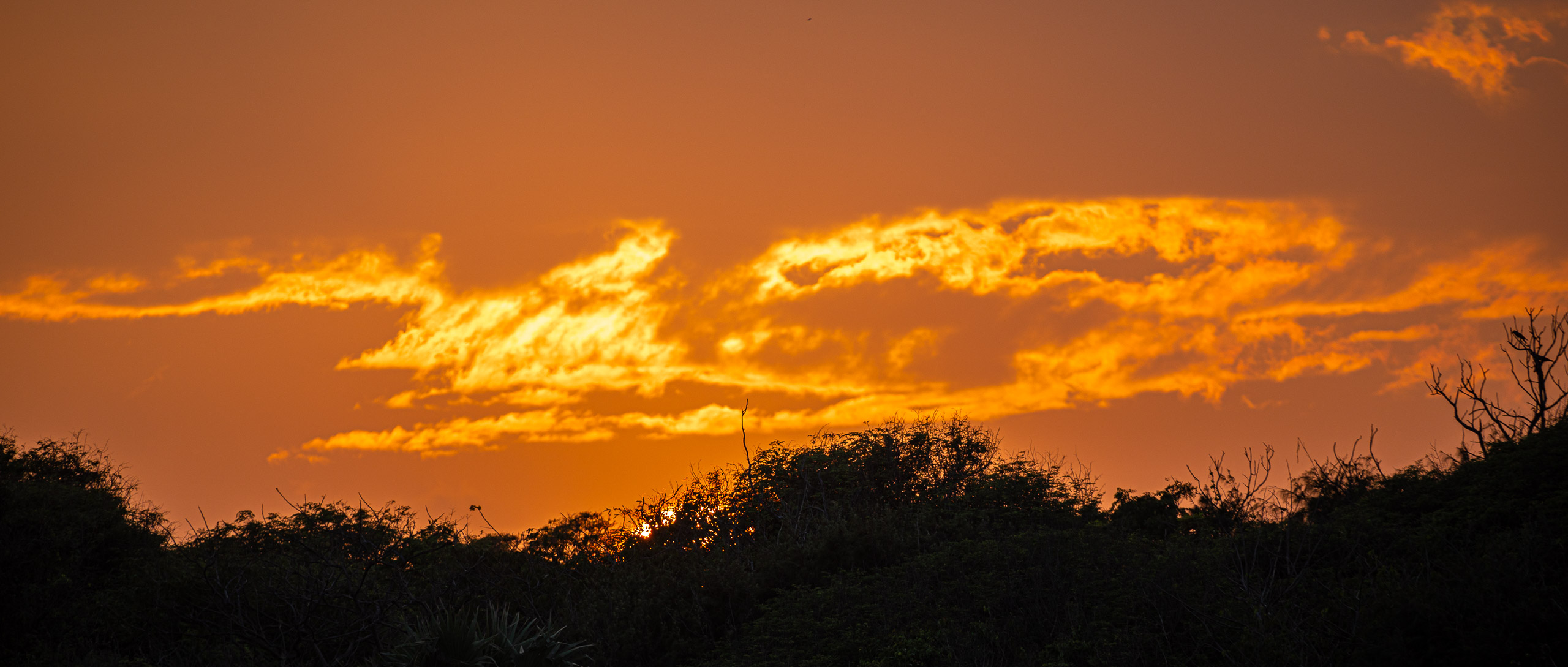 20240118174840 RD4 1194