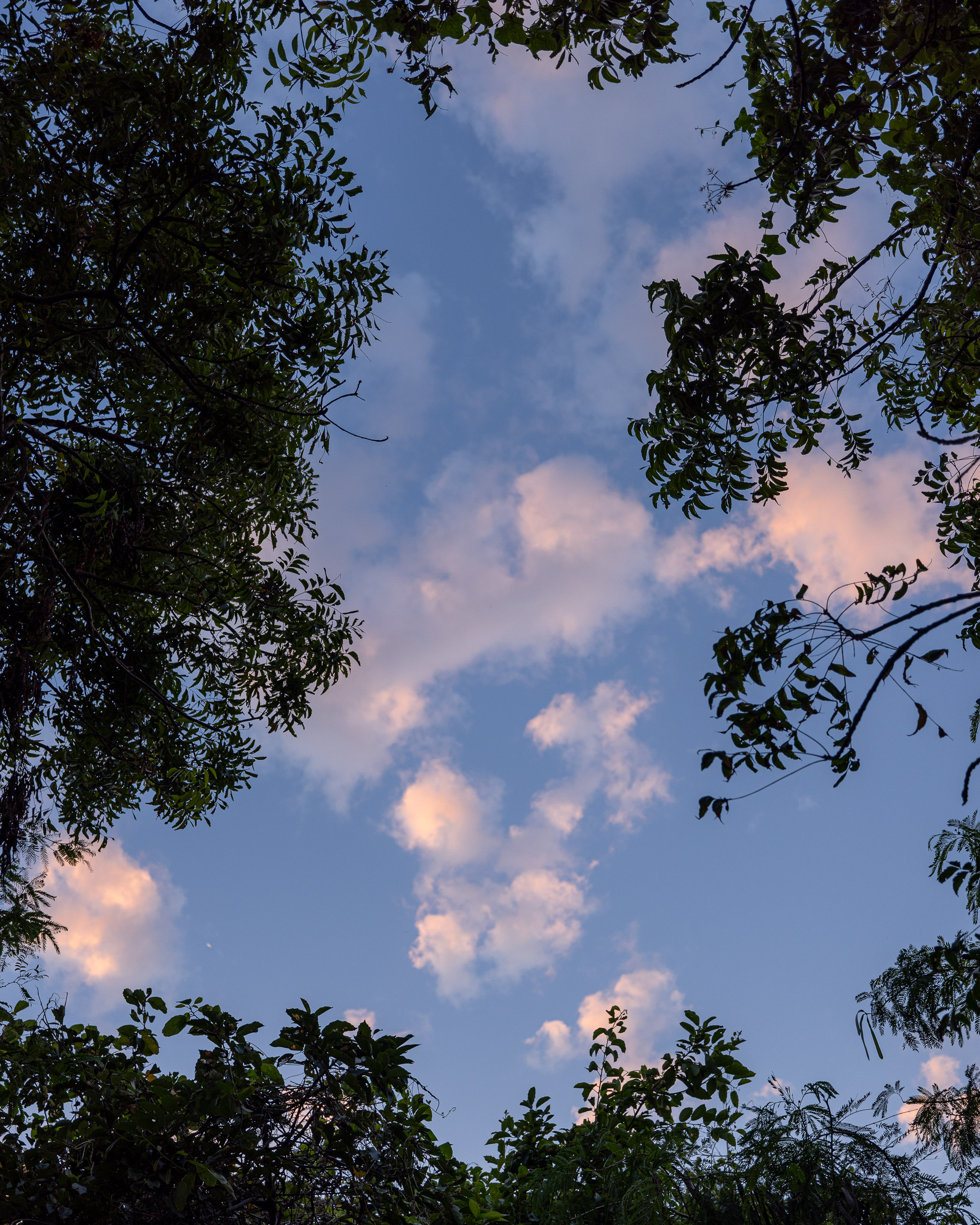 20240118175919 R5D 3200