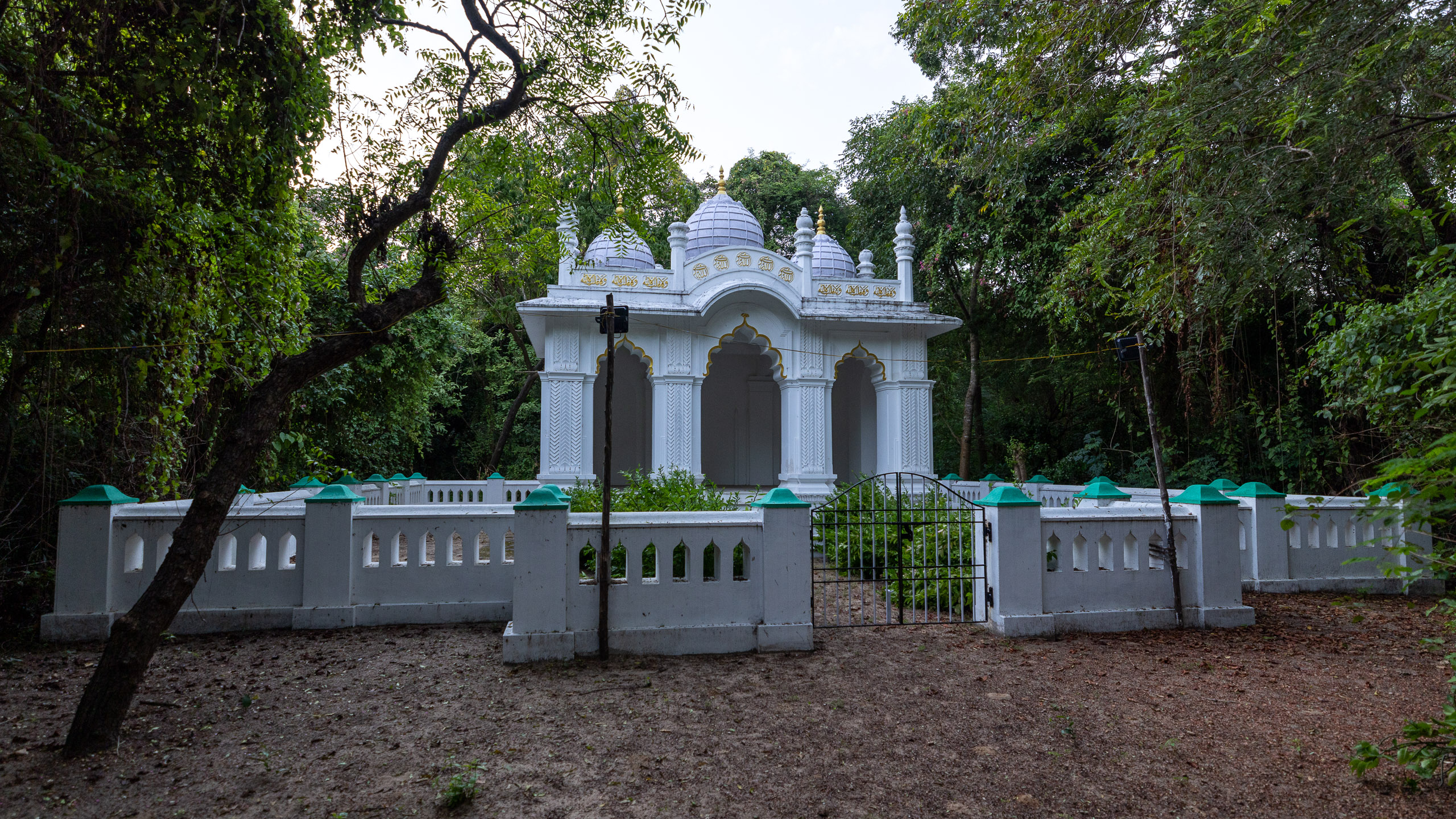 20240118180239 R5D 3207