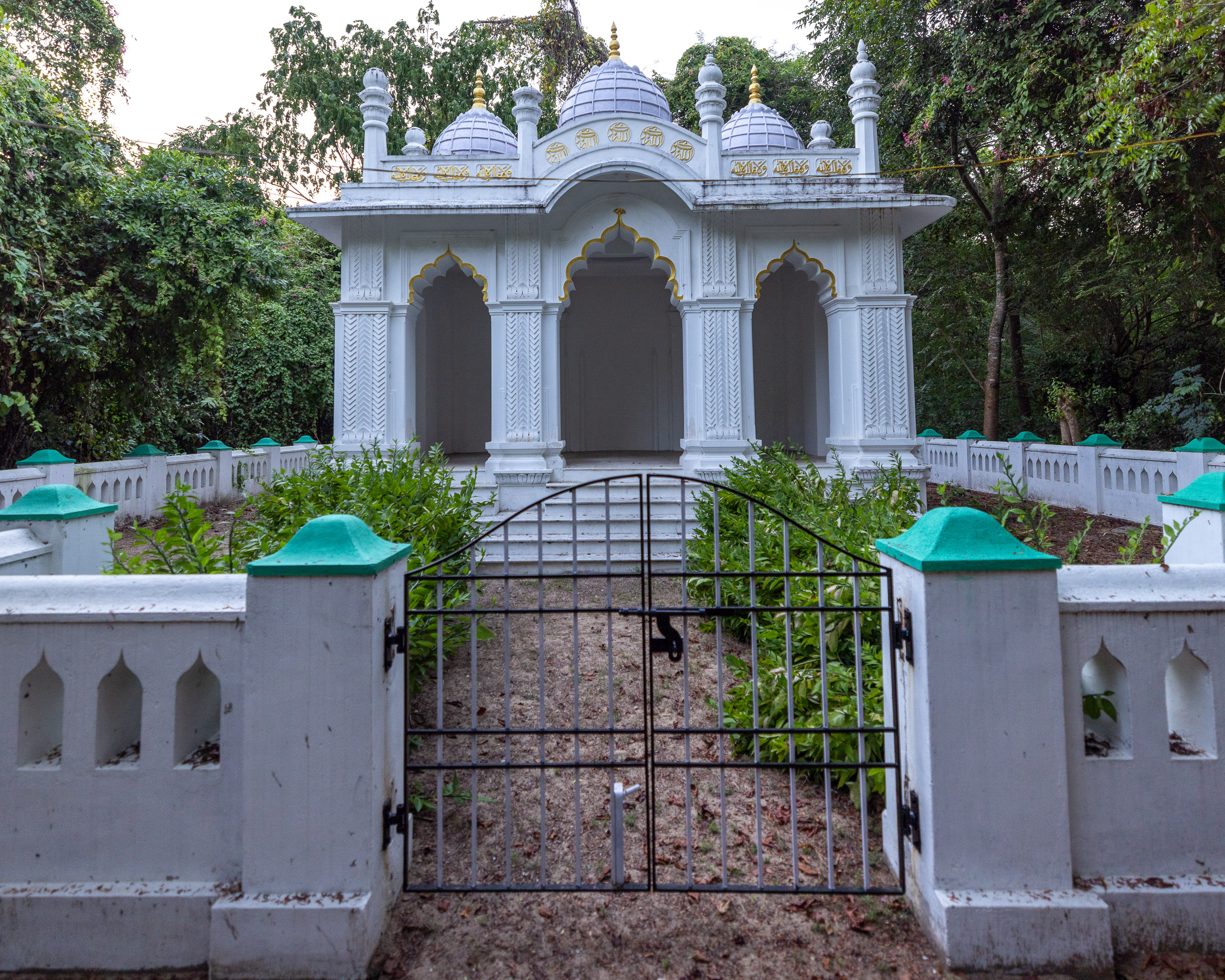 20240118180313 R5D 3213