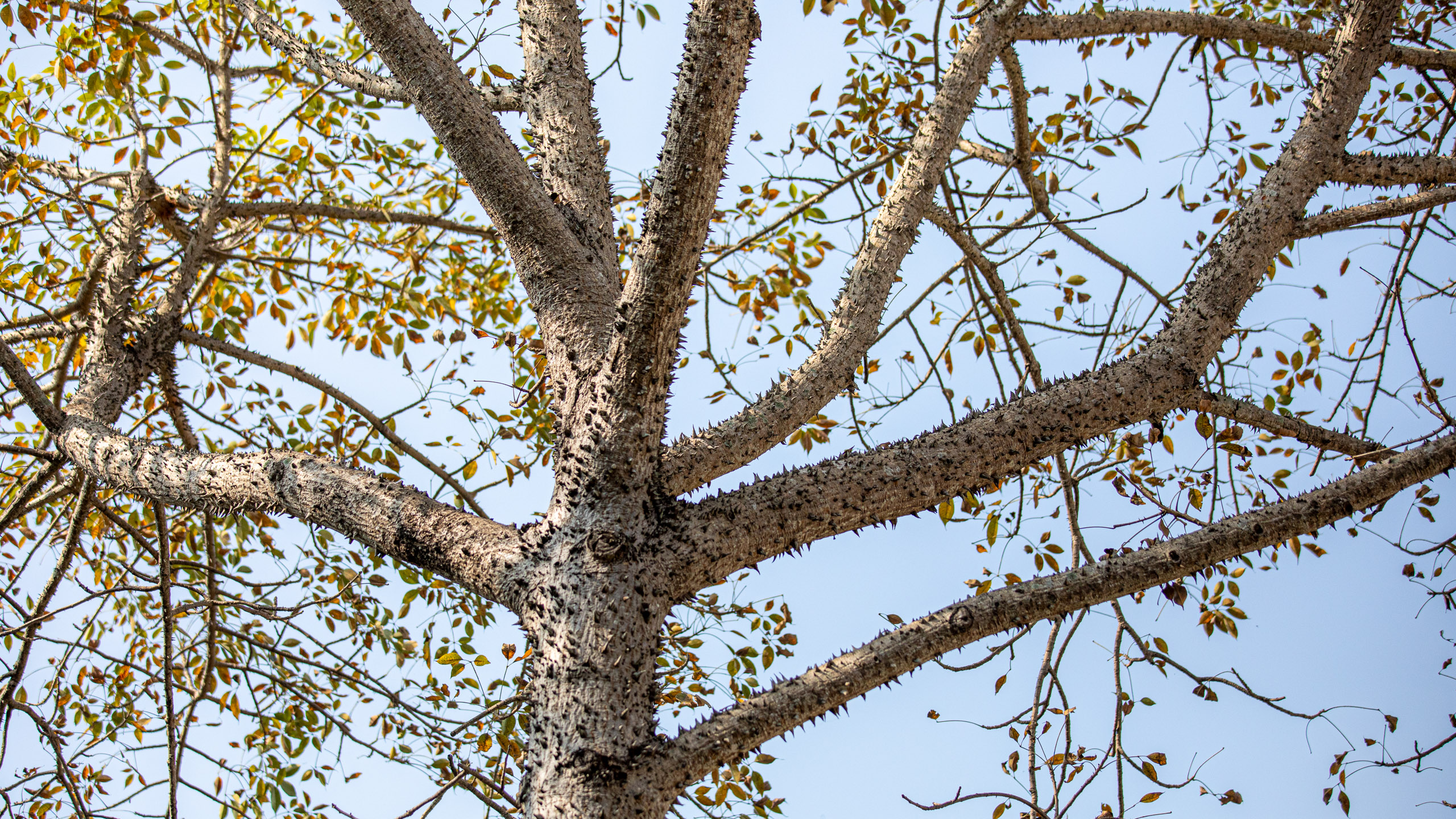 20240124102522 RD4 1552