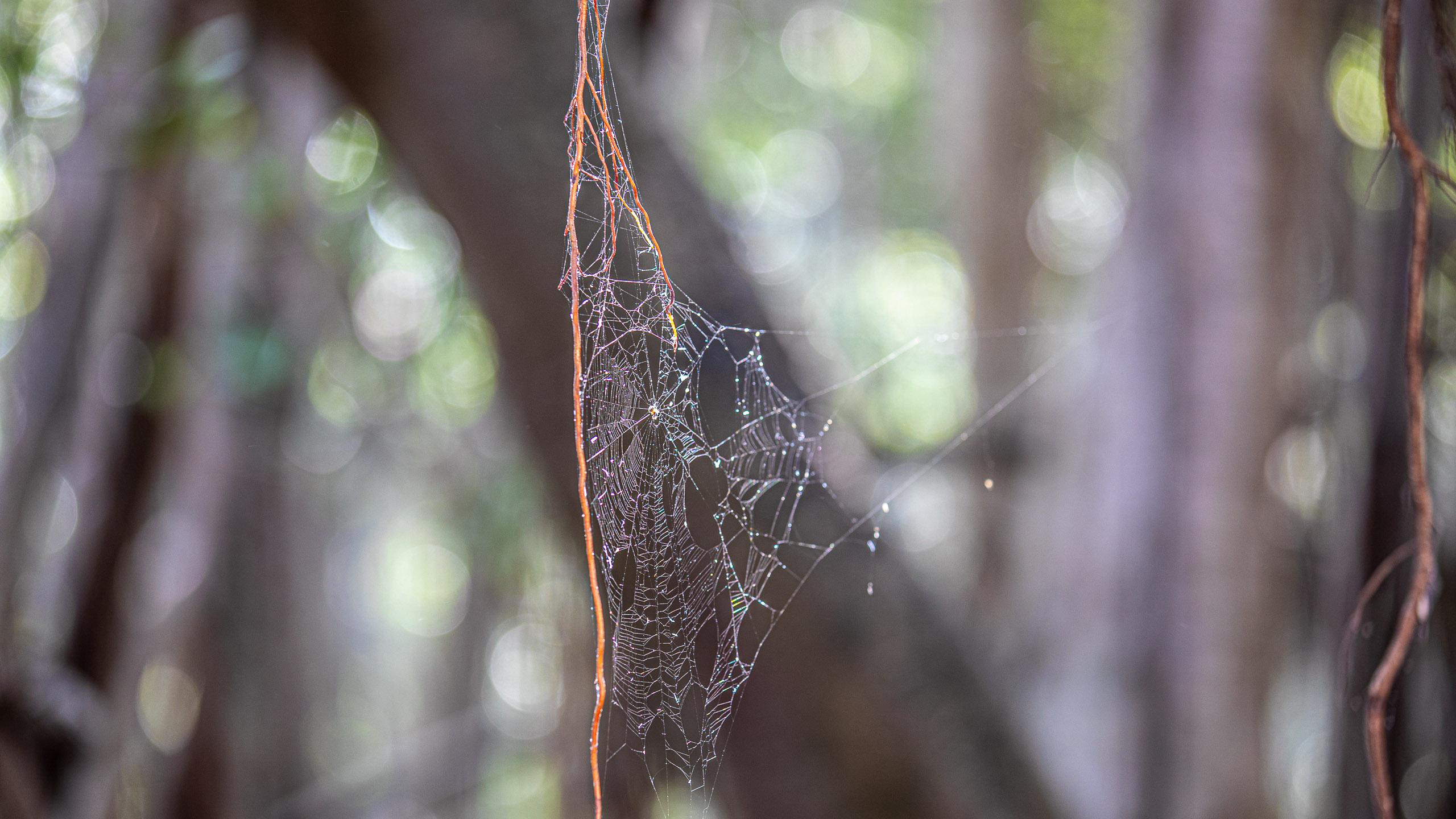 20240124102634 RD4 1569