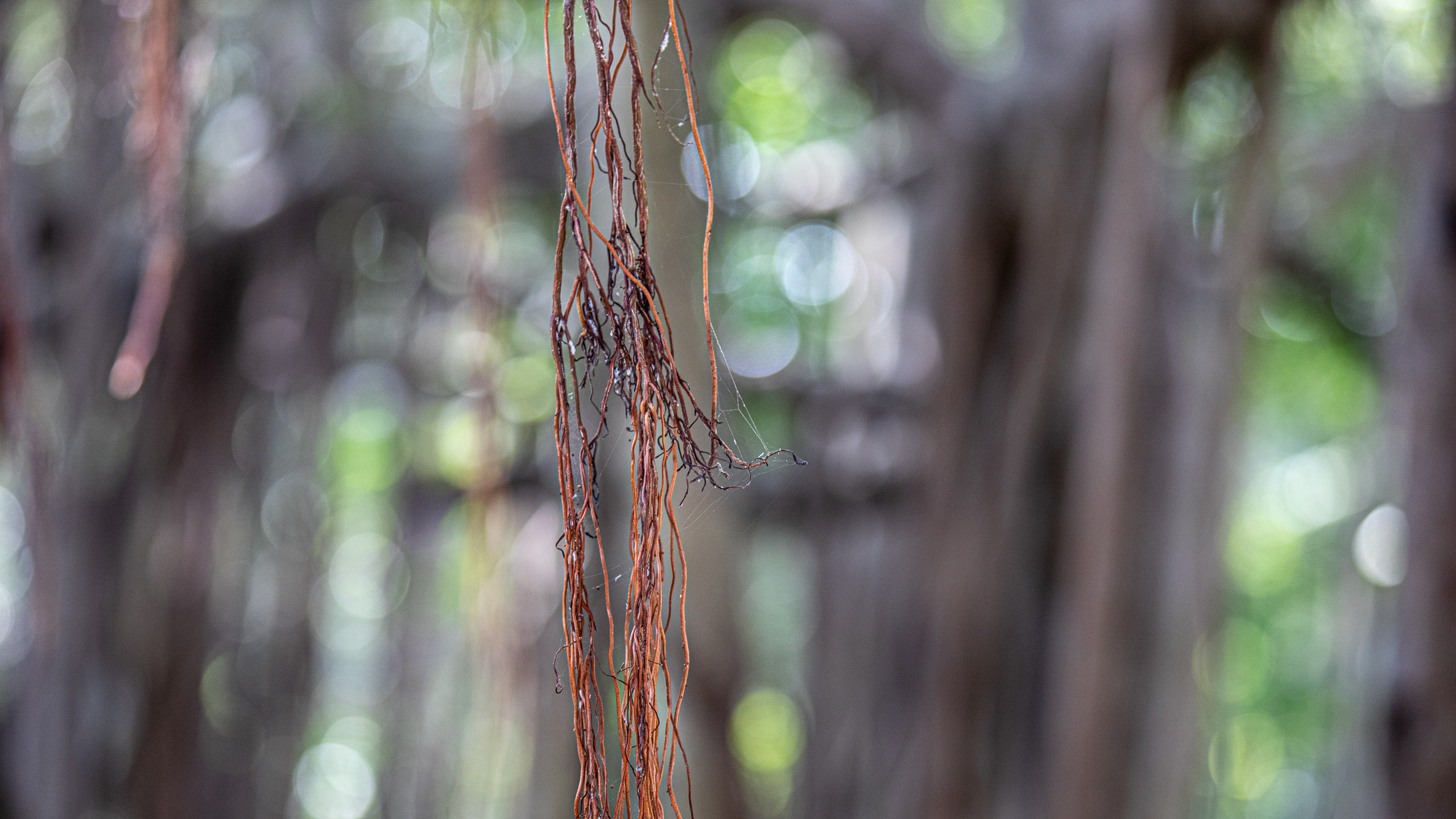 20240124102807 RD4 1585