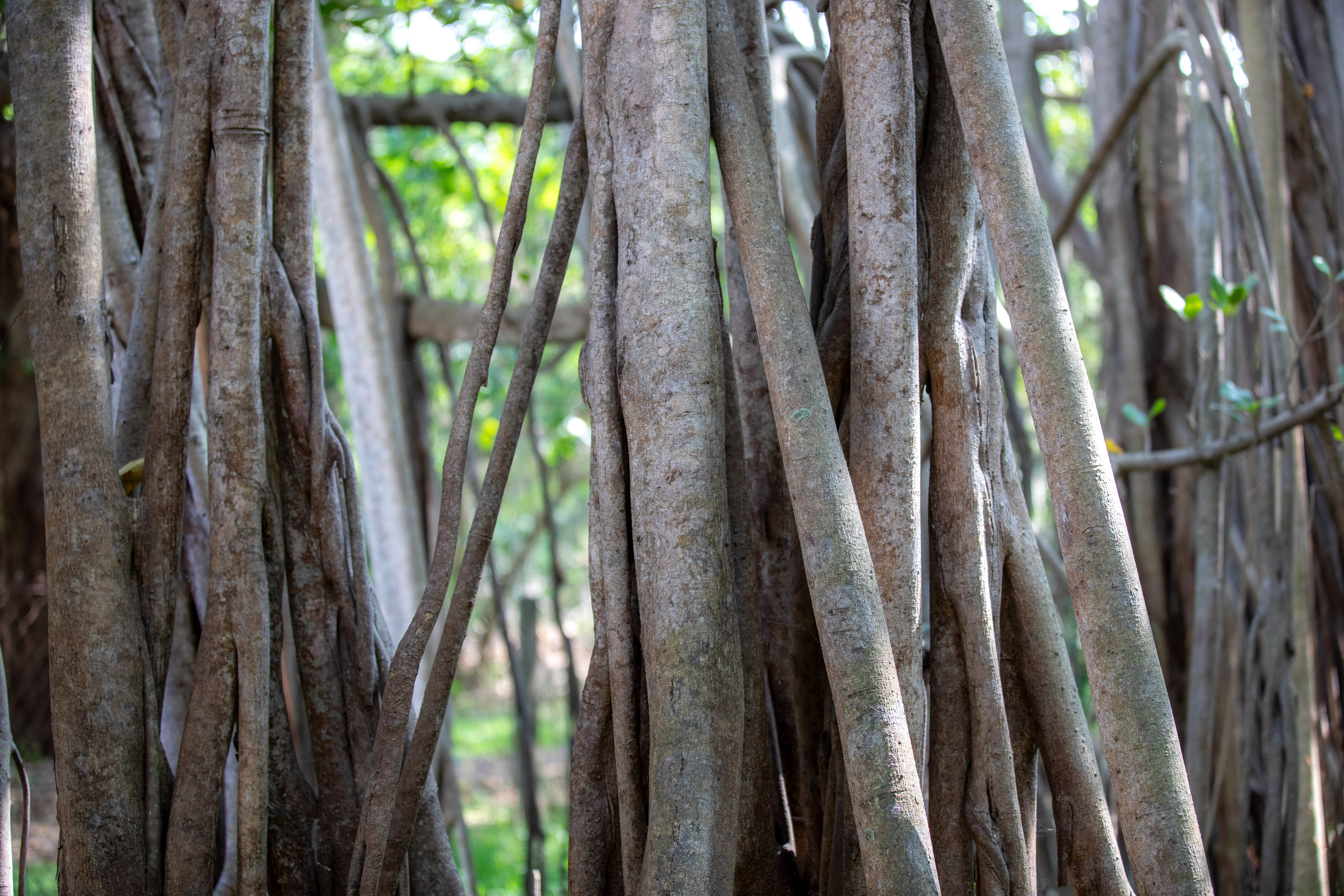 20240124103313 RD4 1619