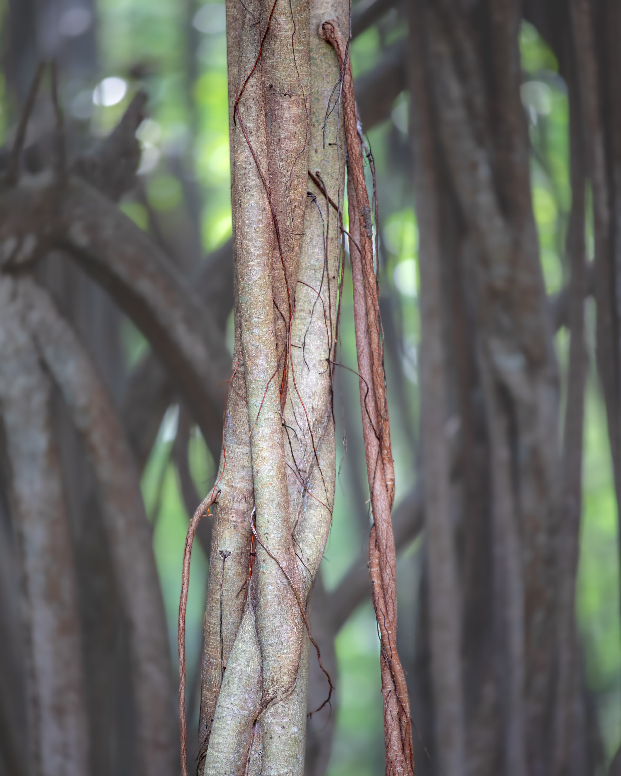 20240124103359 RD4 1621