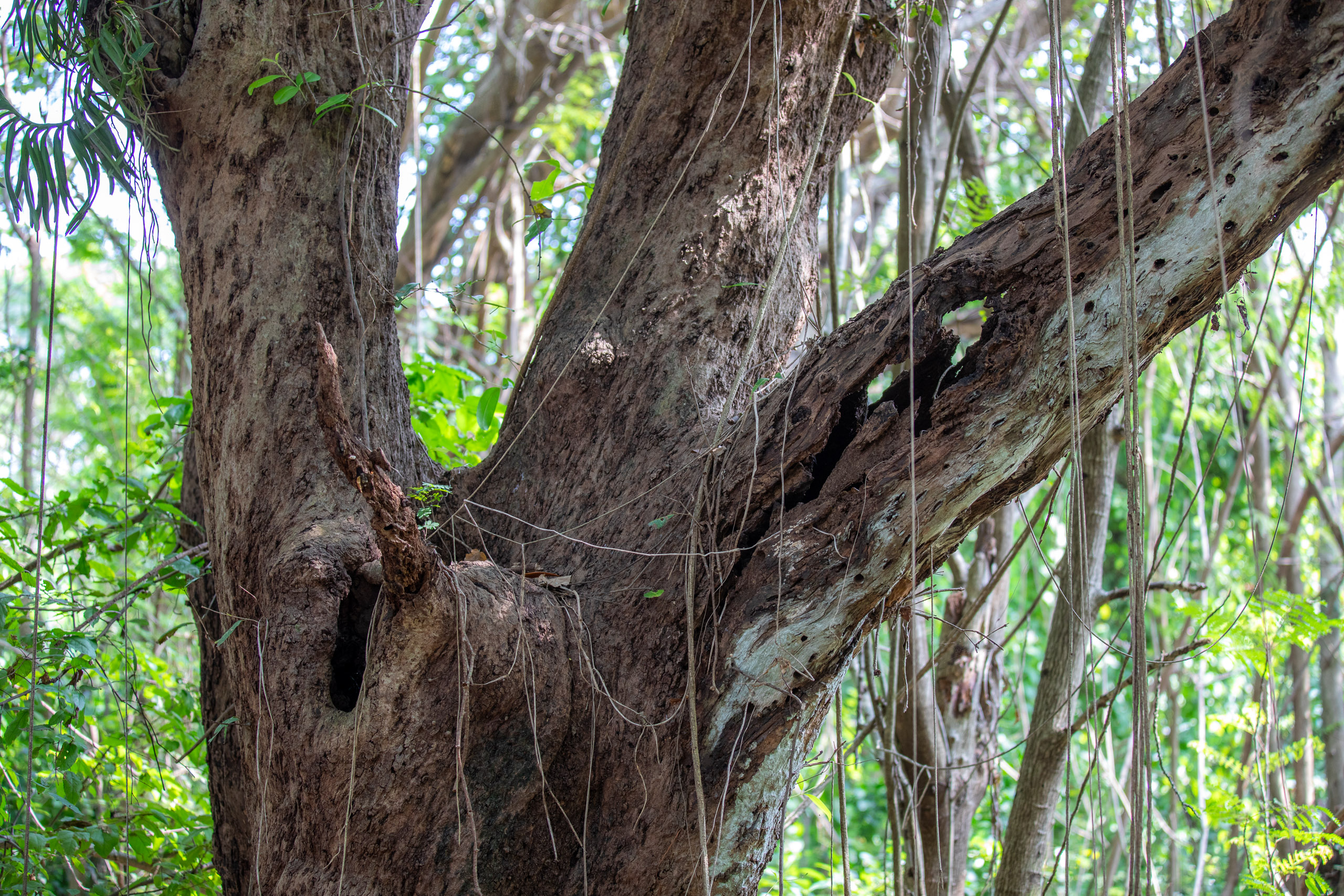 20240124103522 RD4 1625