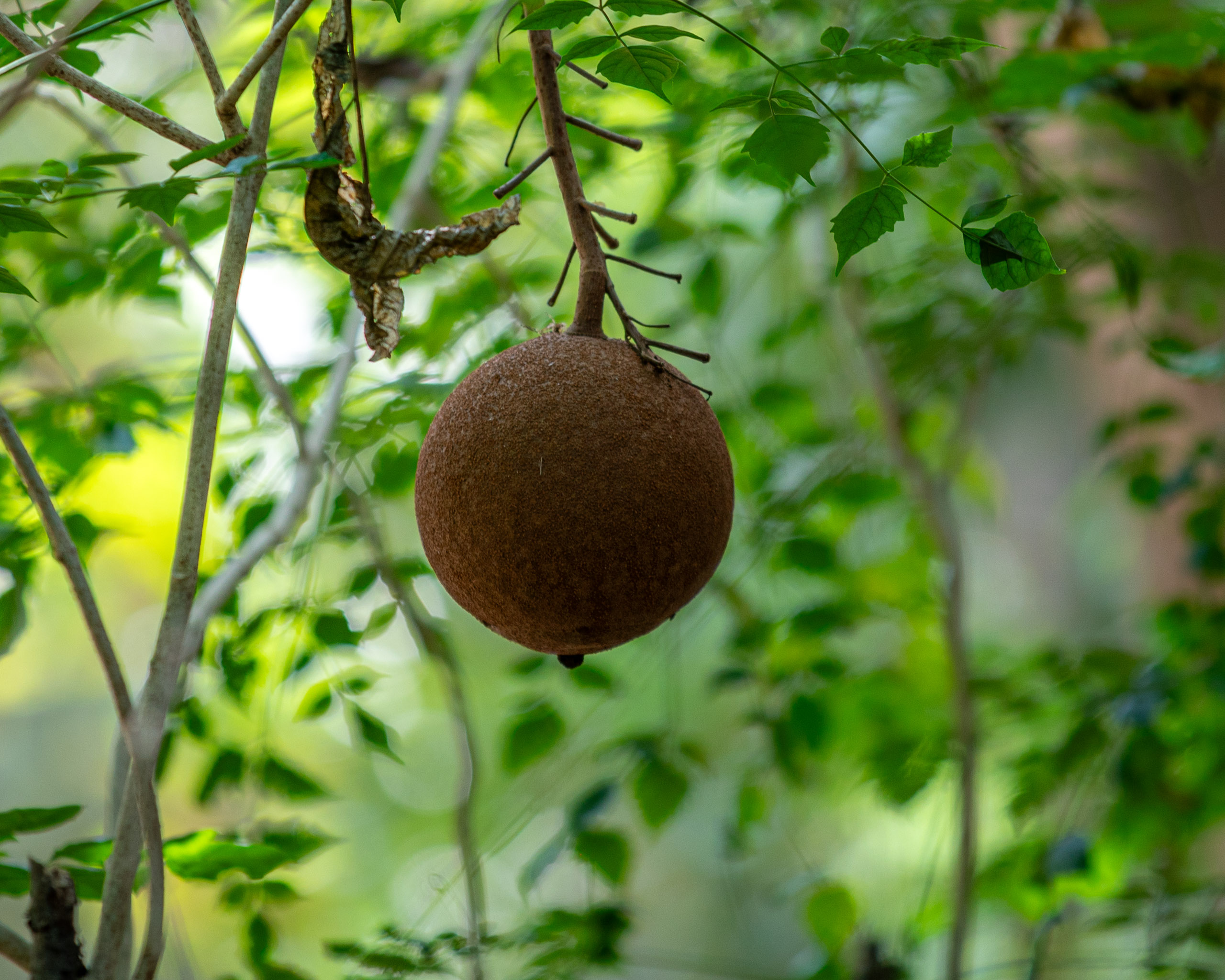 20240124104123 RD4 1631