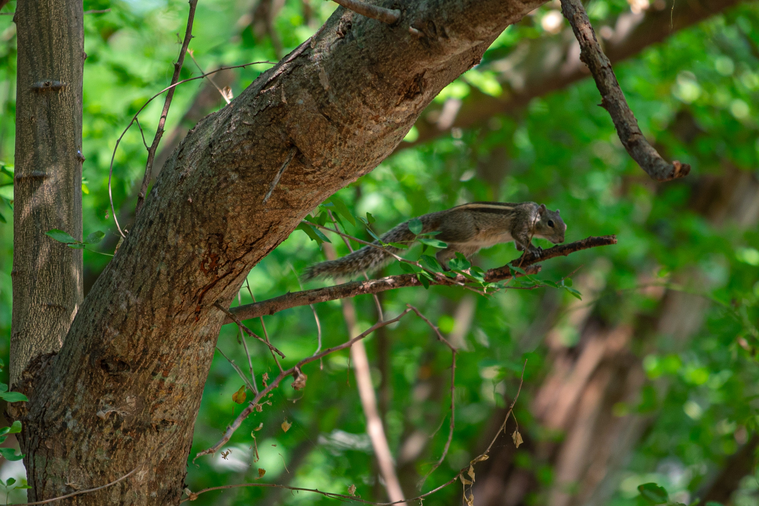 20240124104226 RD4 1635