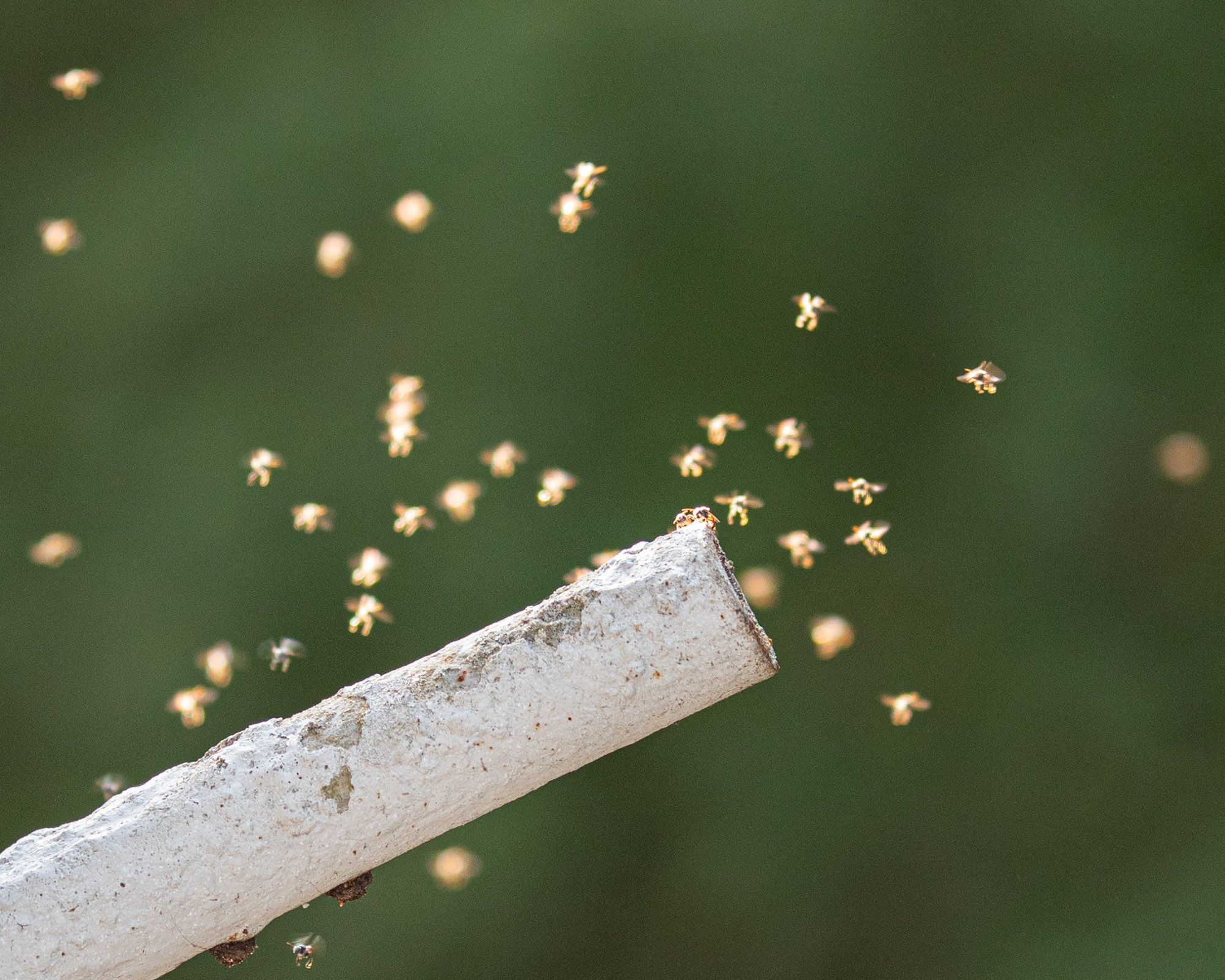 20240125164954 RD4 2759