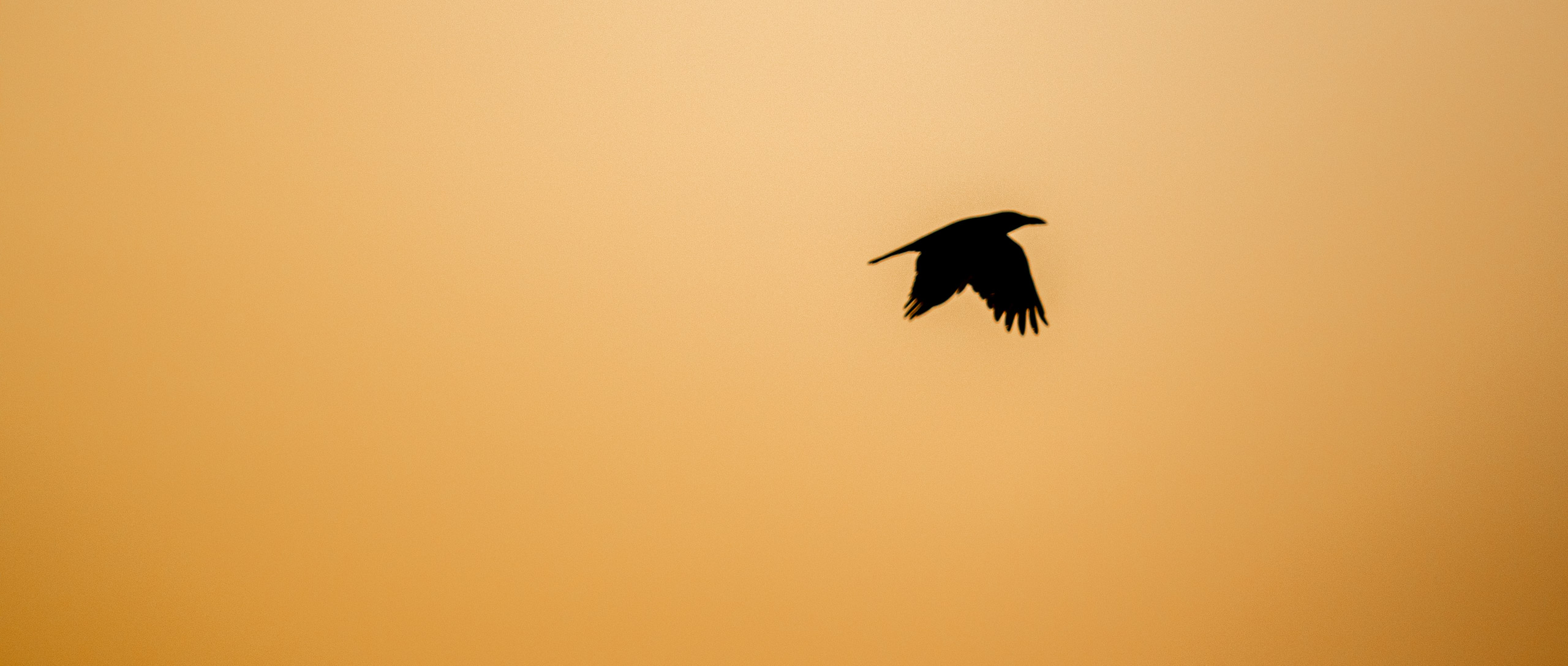 20240125174209 RD4 2828