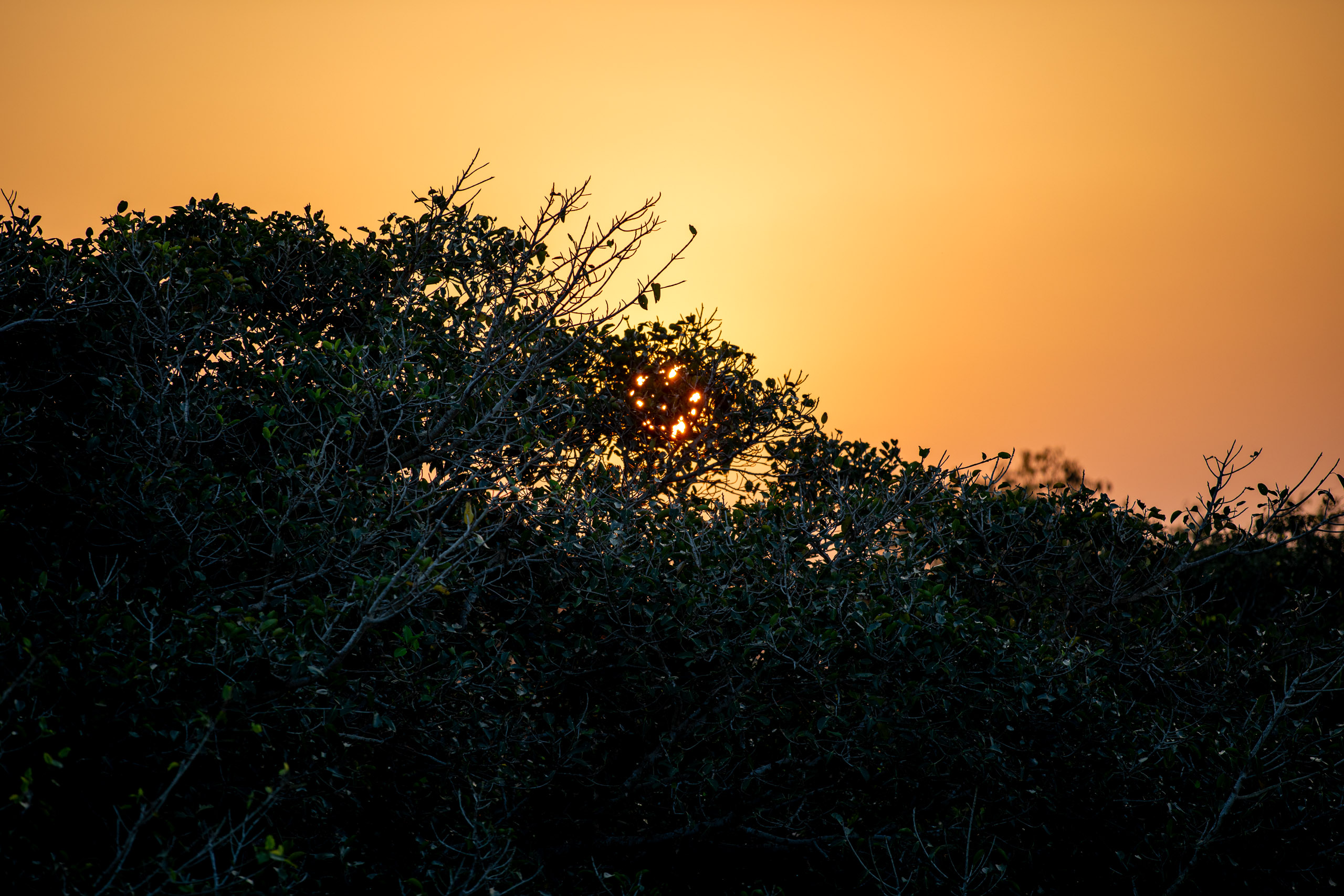 20240125174952 RD4 2854