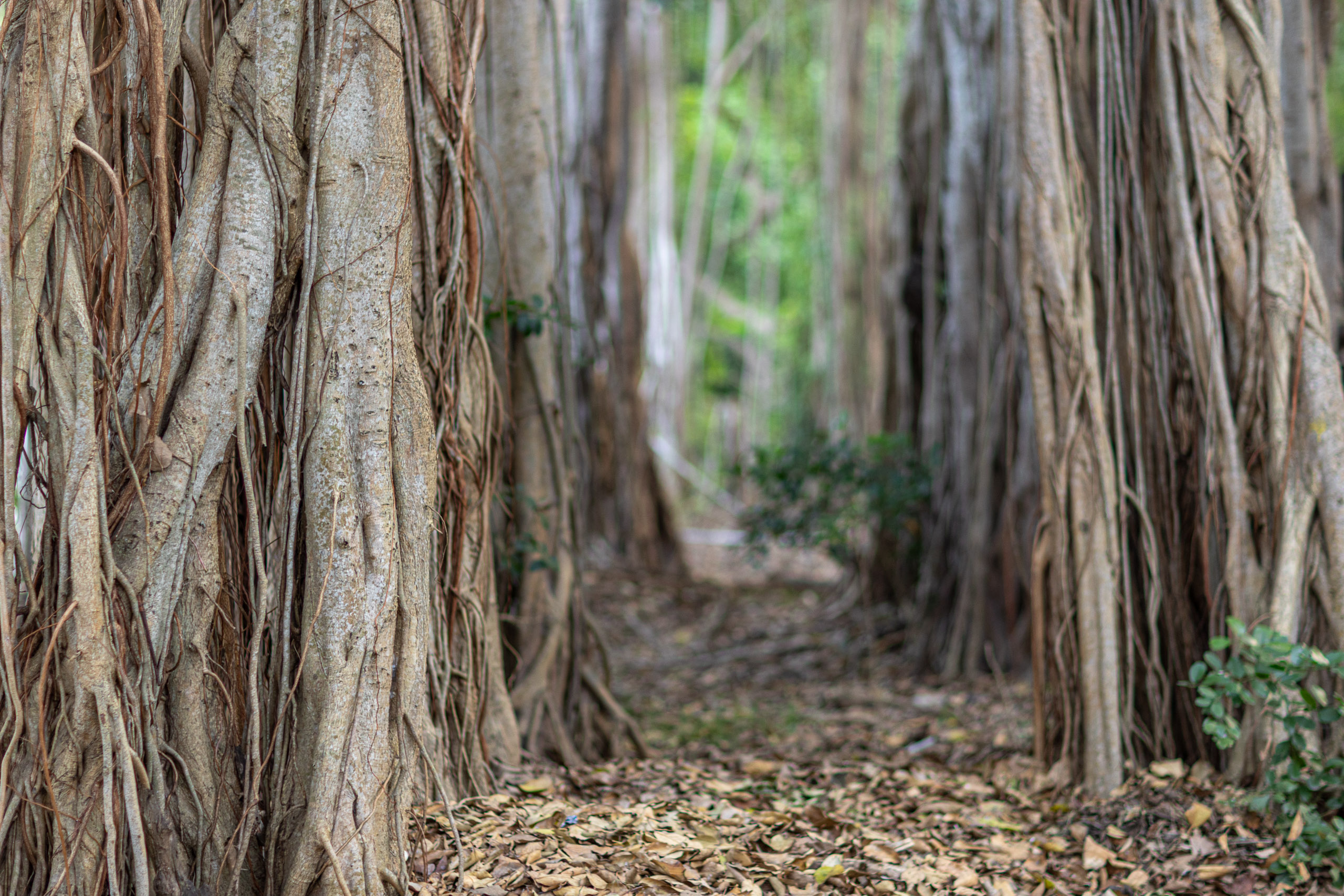 20240126174949 R5D 6727