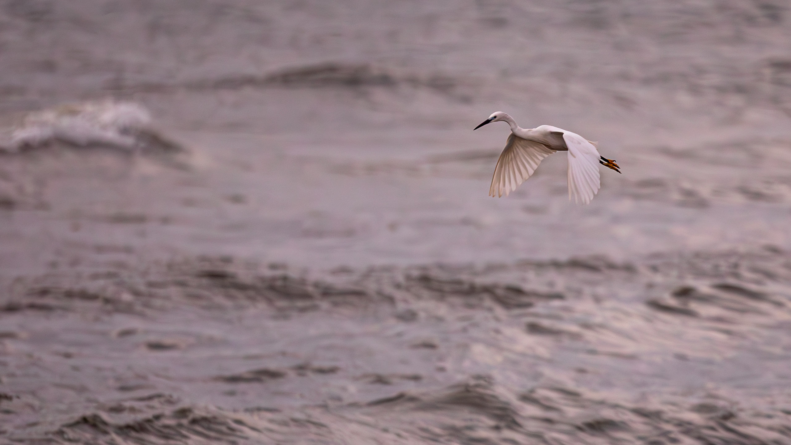 20240127062940 RD4 3009 e