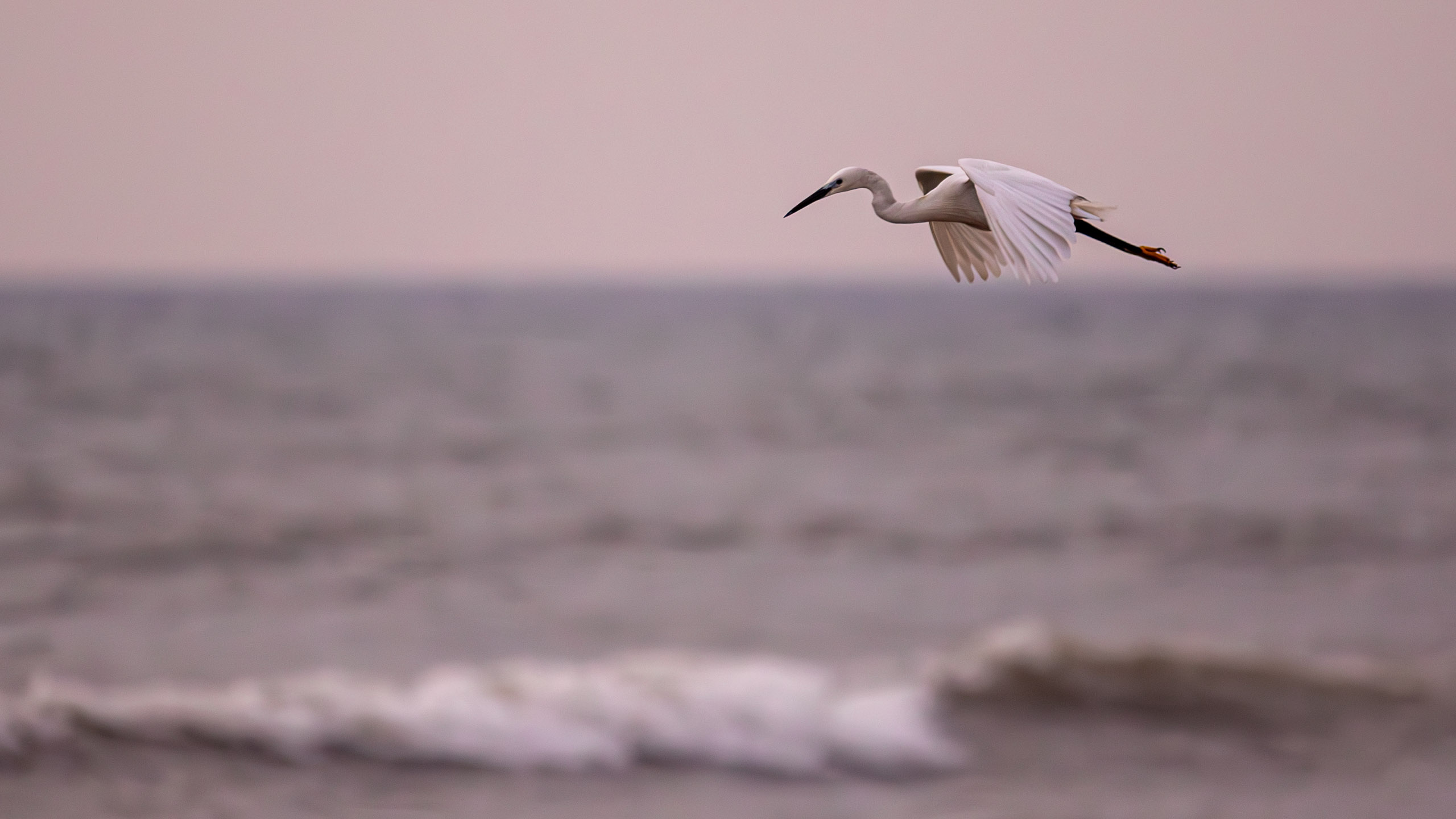 20240127062946 RD4 3014 e