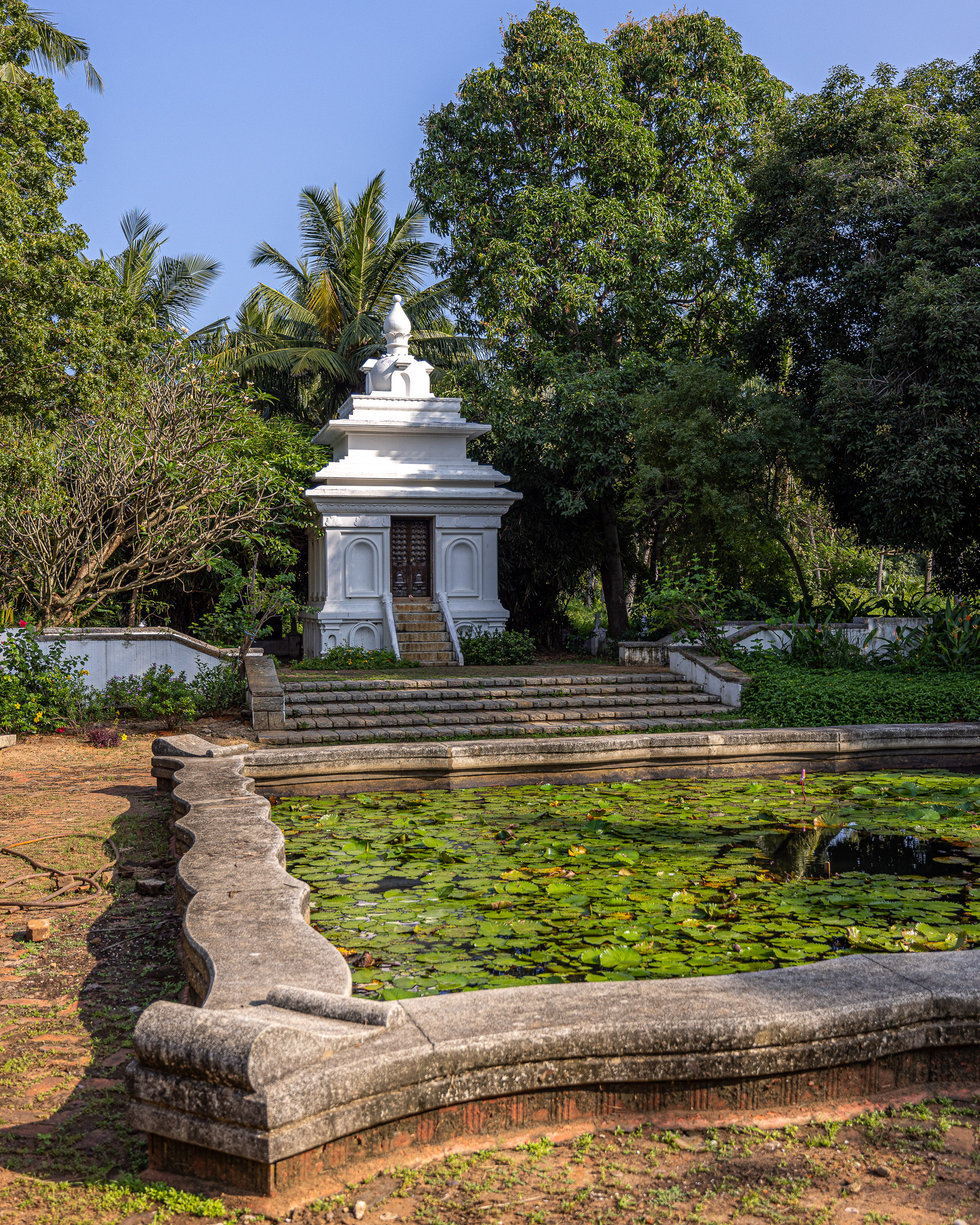 20240116152403 R5D 2877