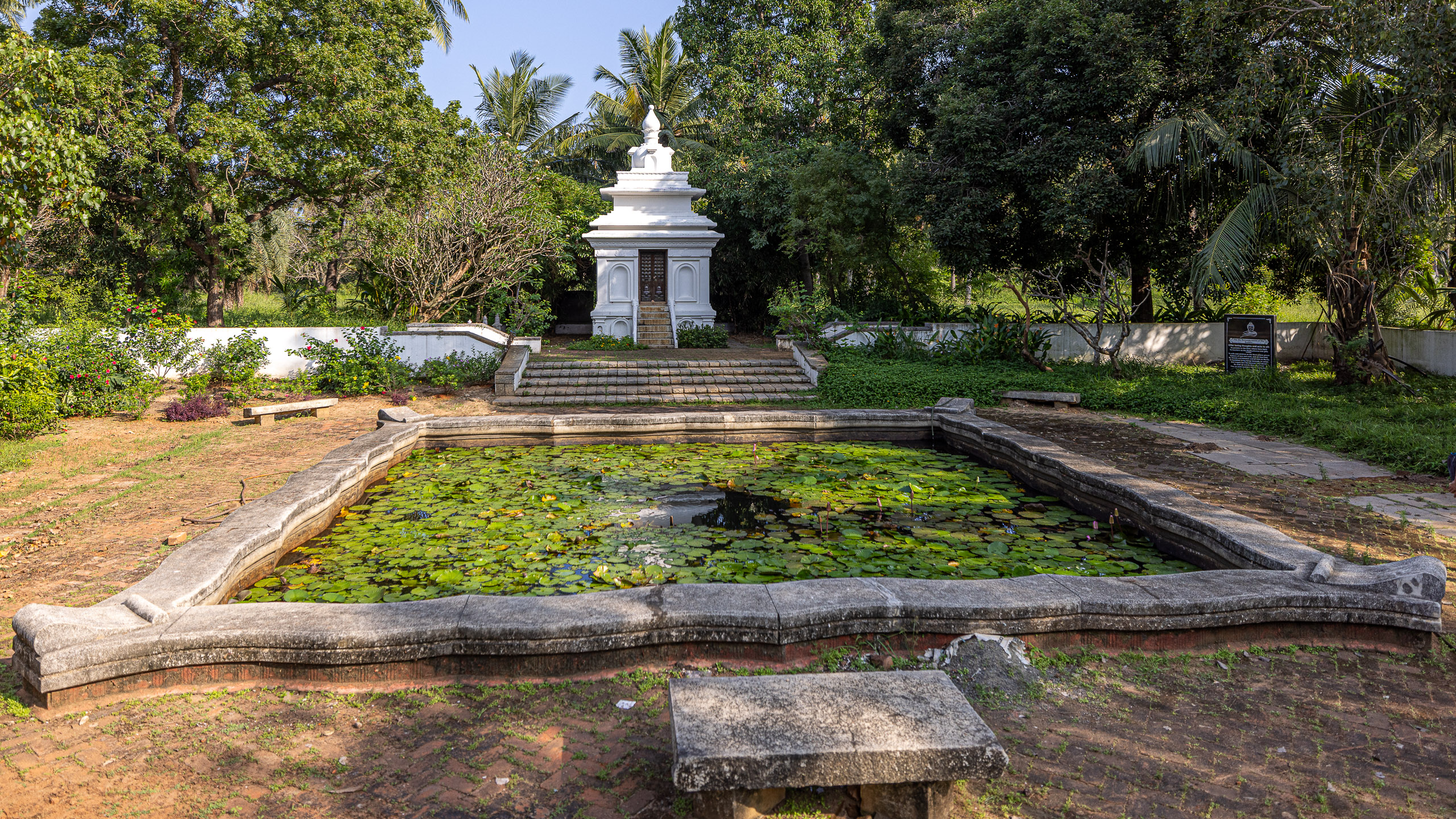 20240116152448 R5D 2889