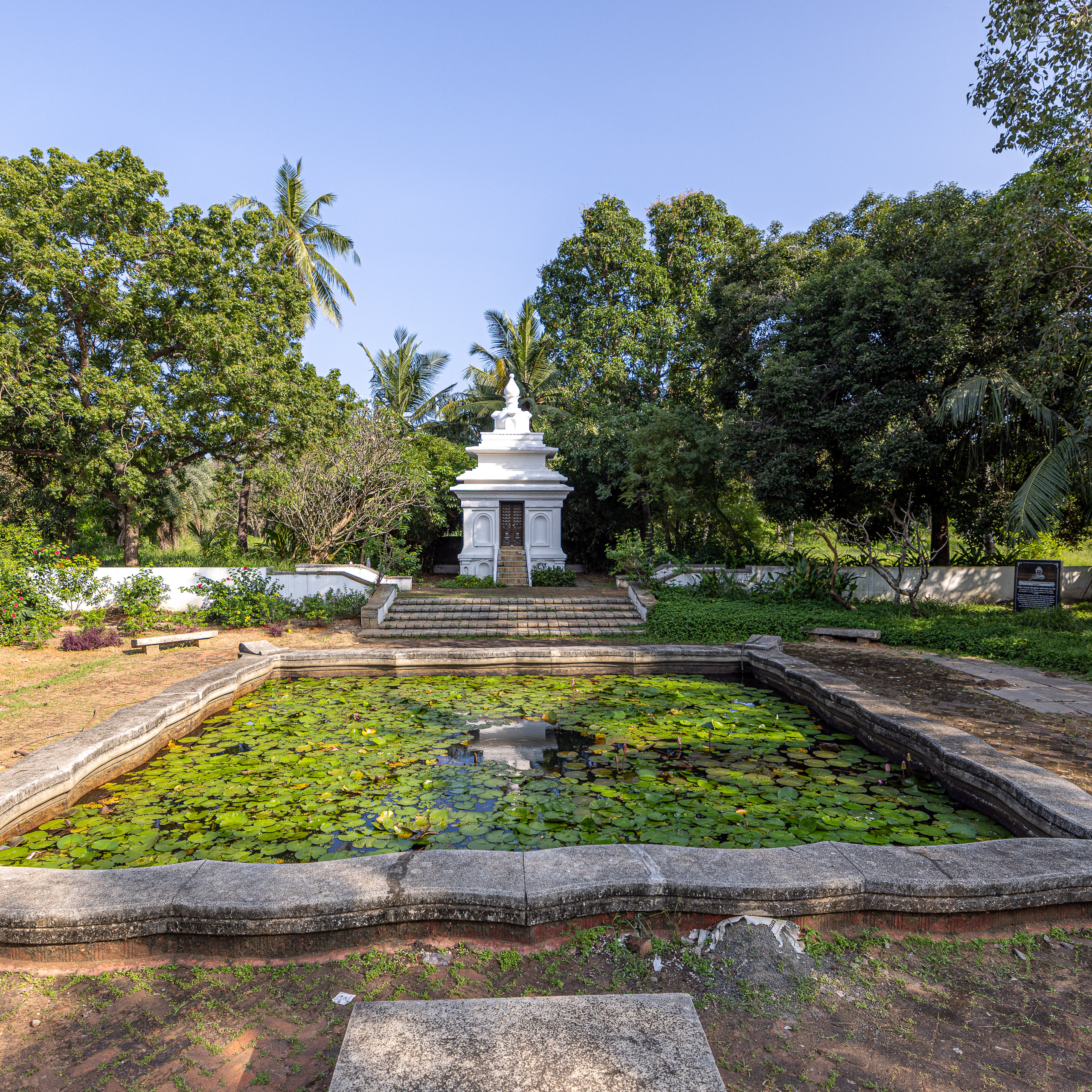 20240116152523 R5D 2900