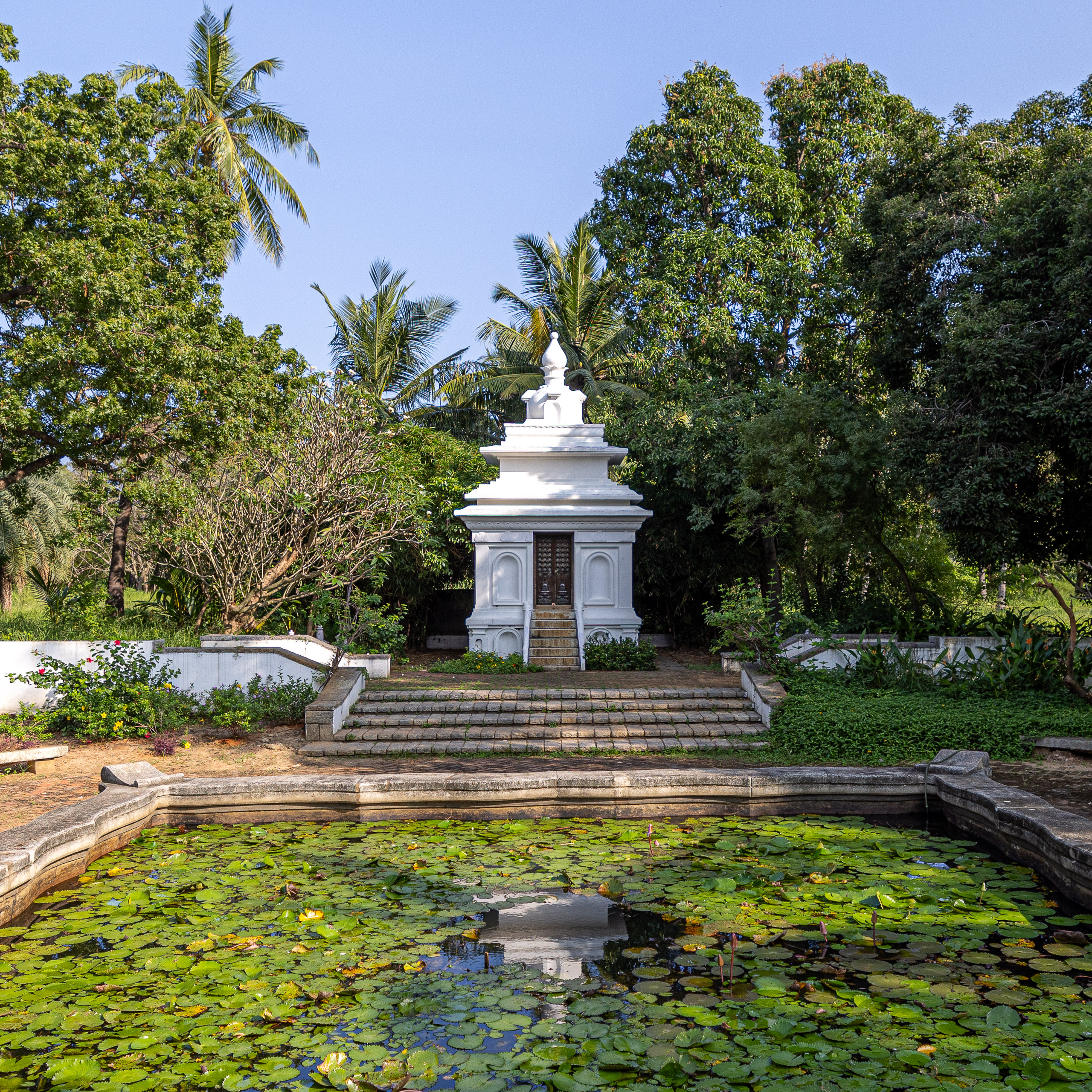 20240116152528 R5D 2906