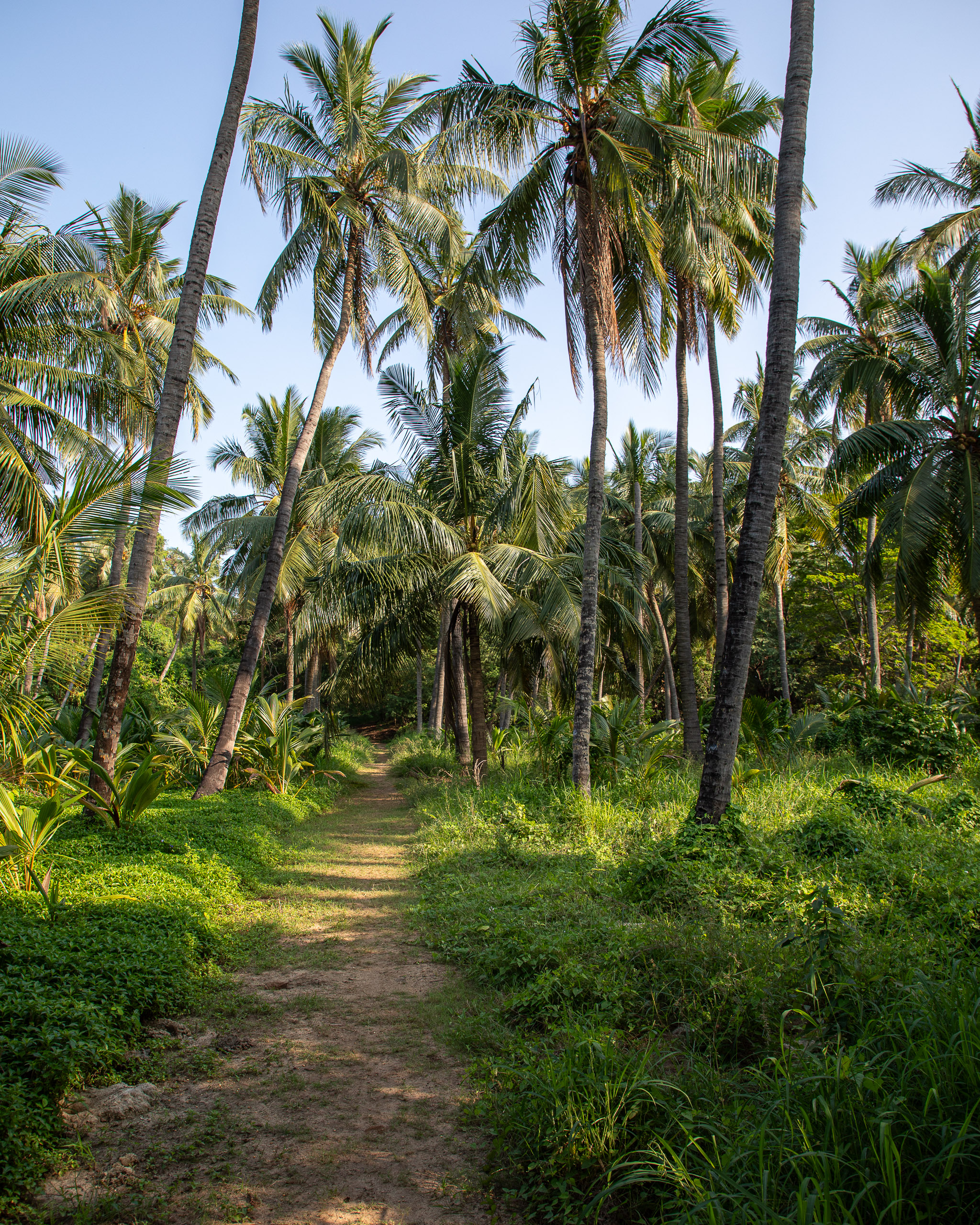 20240116153400 RD4 0895