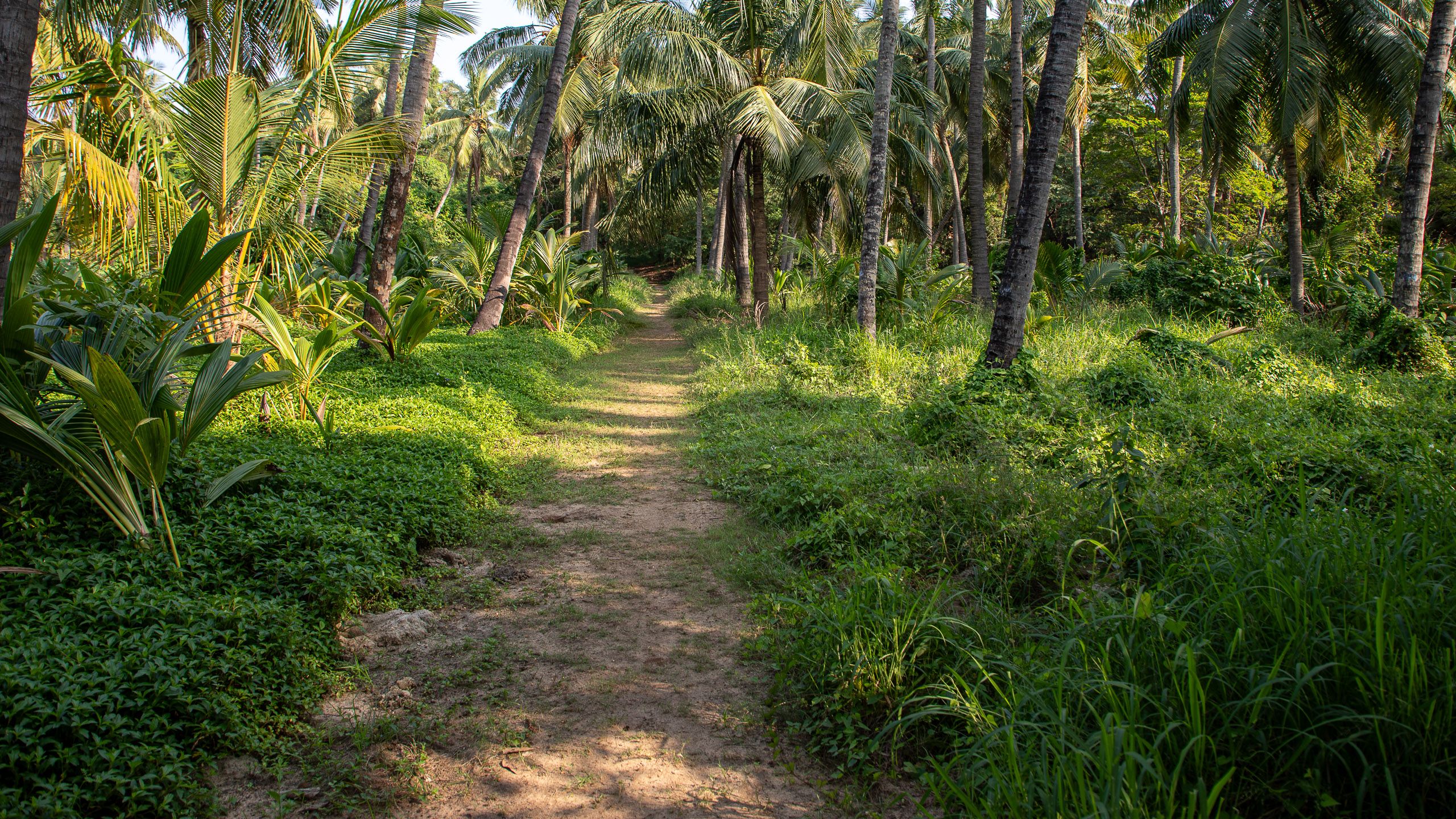 20240116153405 RD4 0896