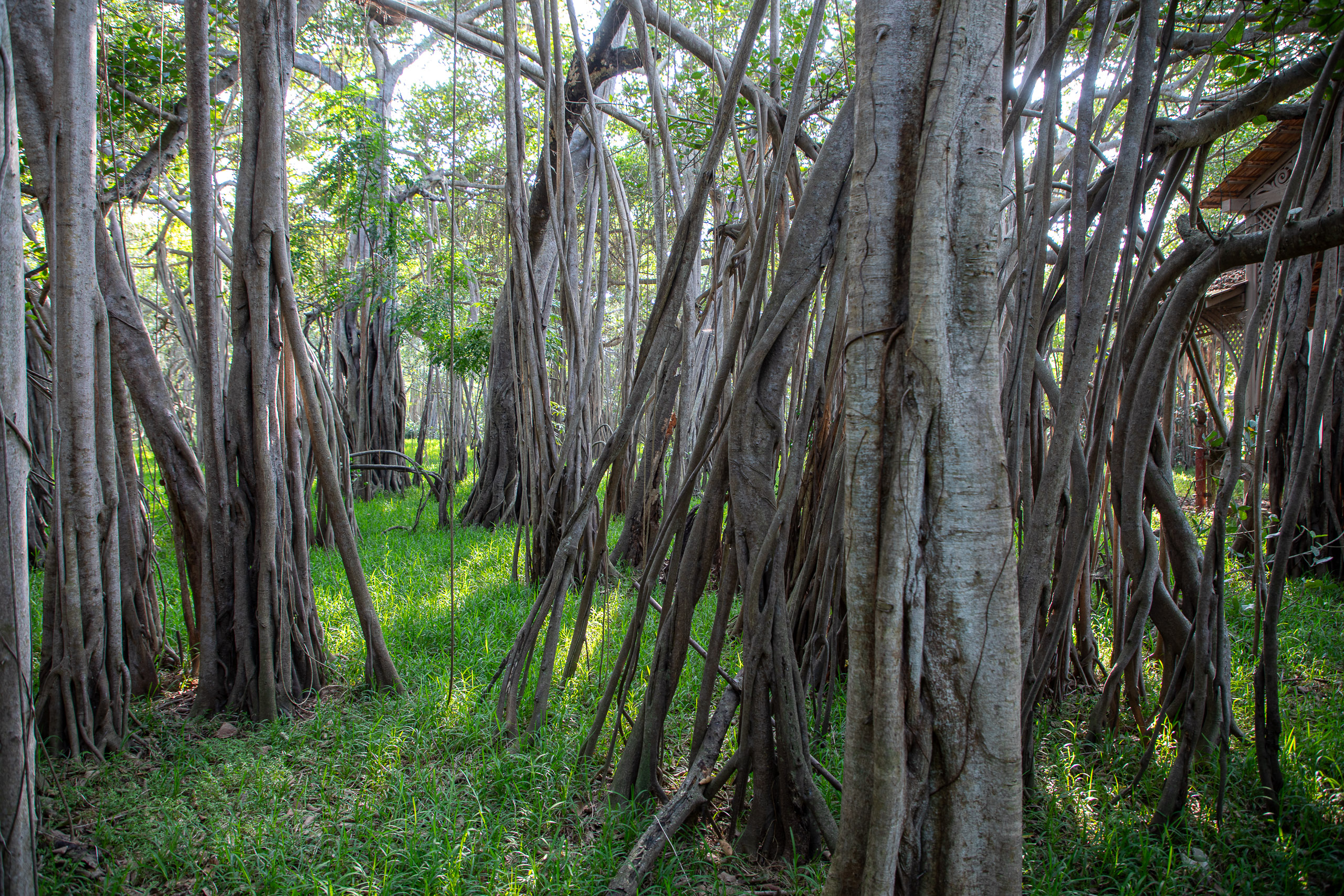 20240116153916 RD4 0912