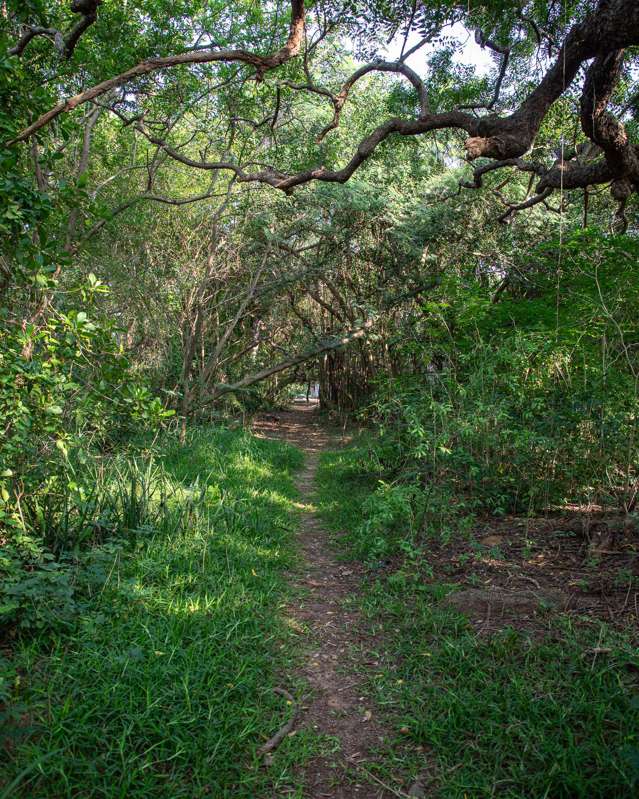 20240116154045 RD4 0913