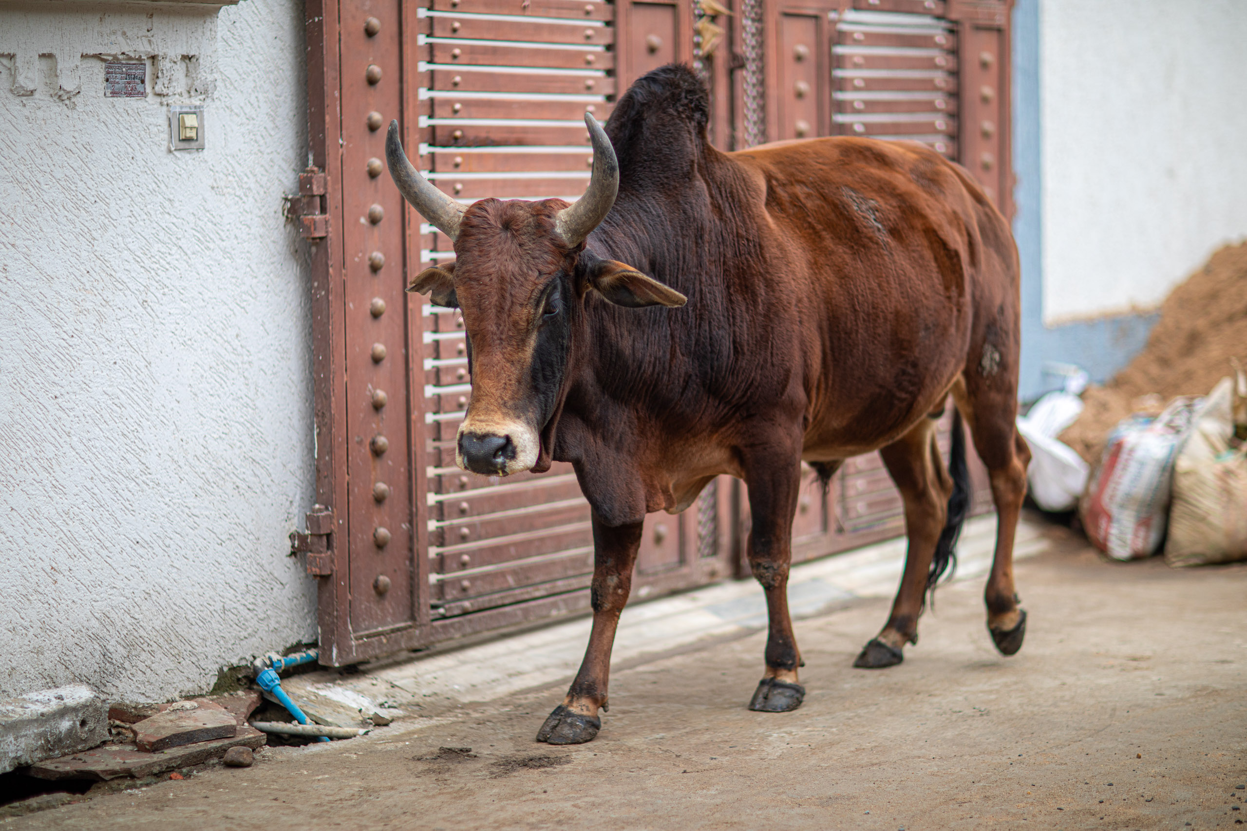 20240107102657 RD4 9219