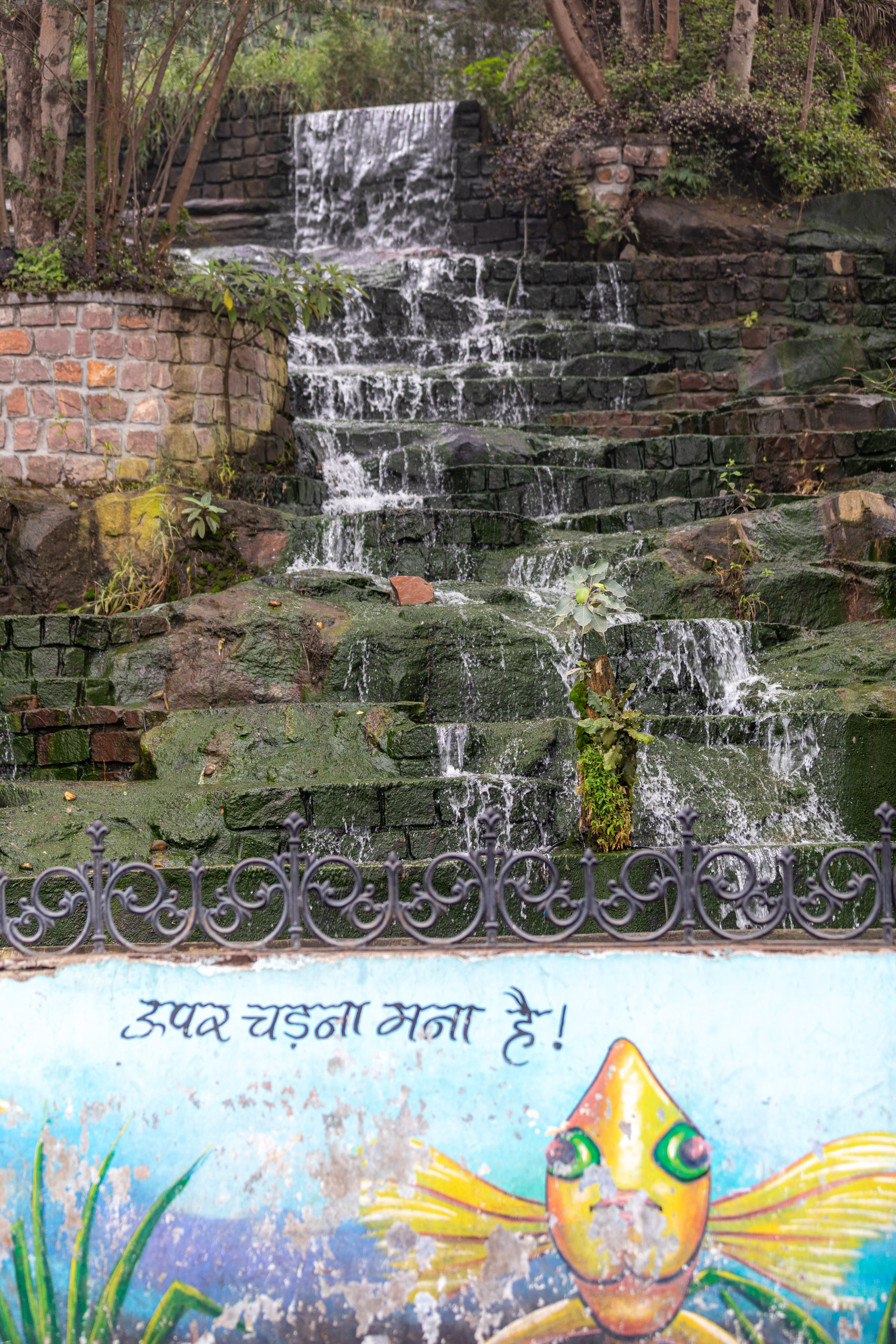 20240104093802 RD4 8882