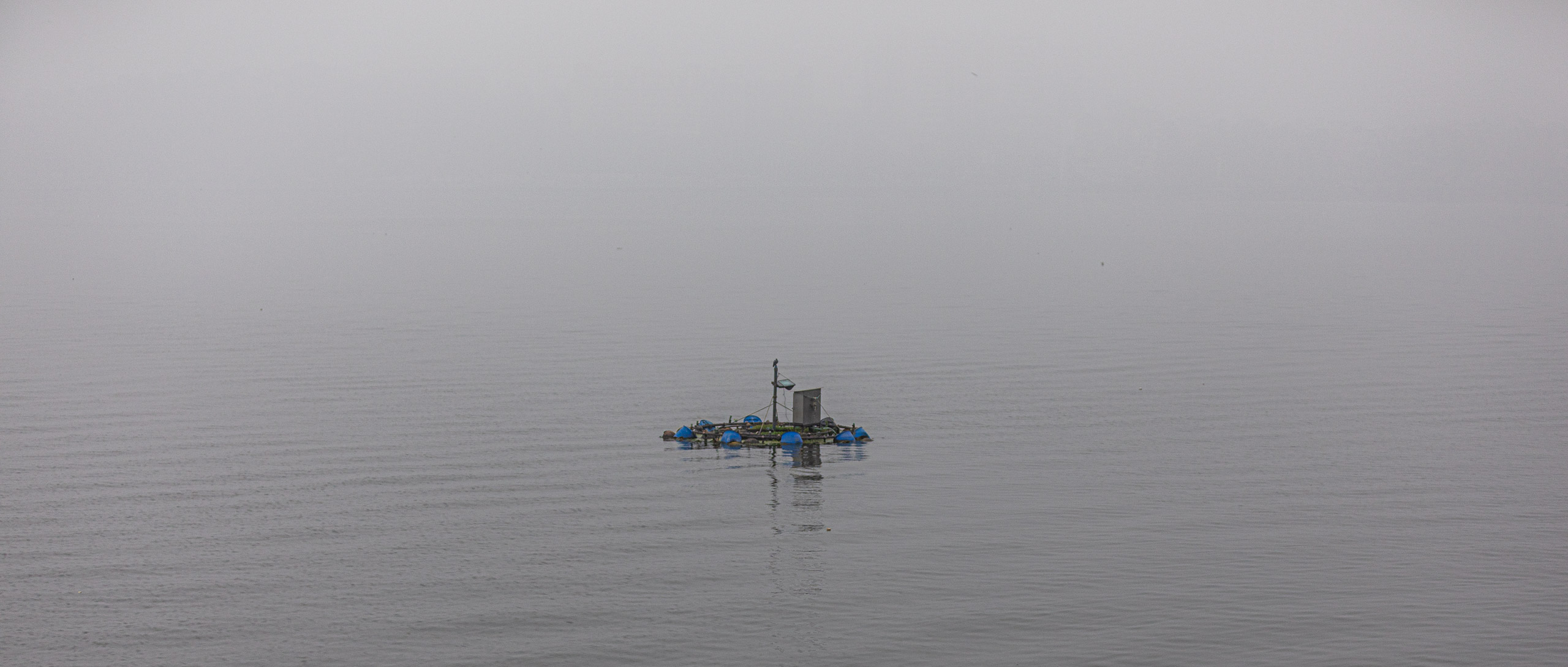 20240104093921 RD4 8887