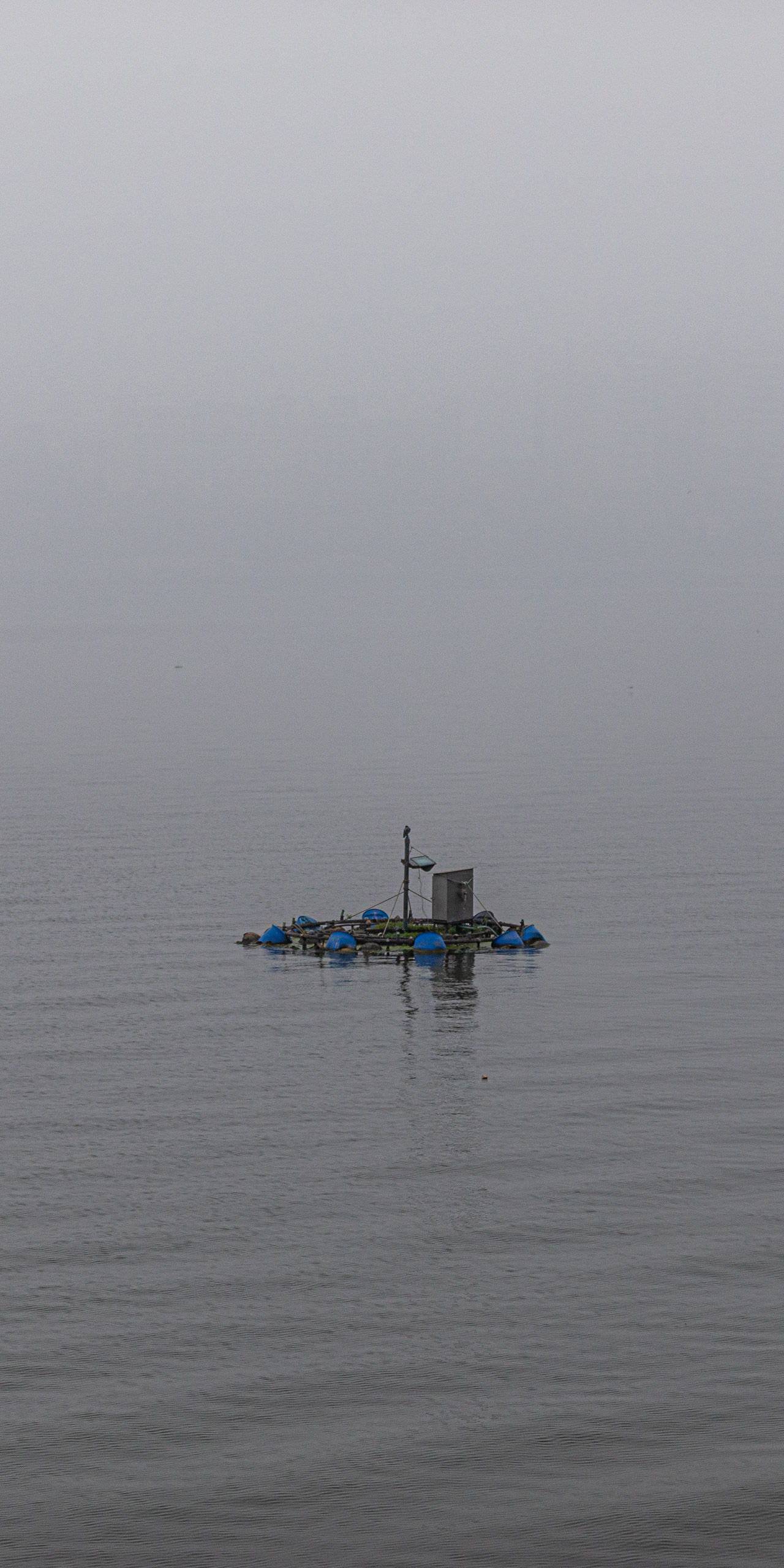 20240104093947 RD4 8893