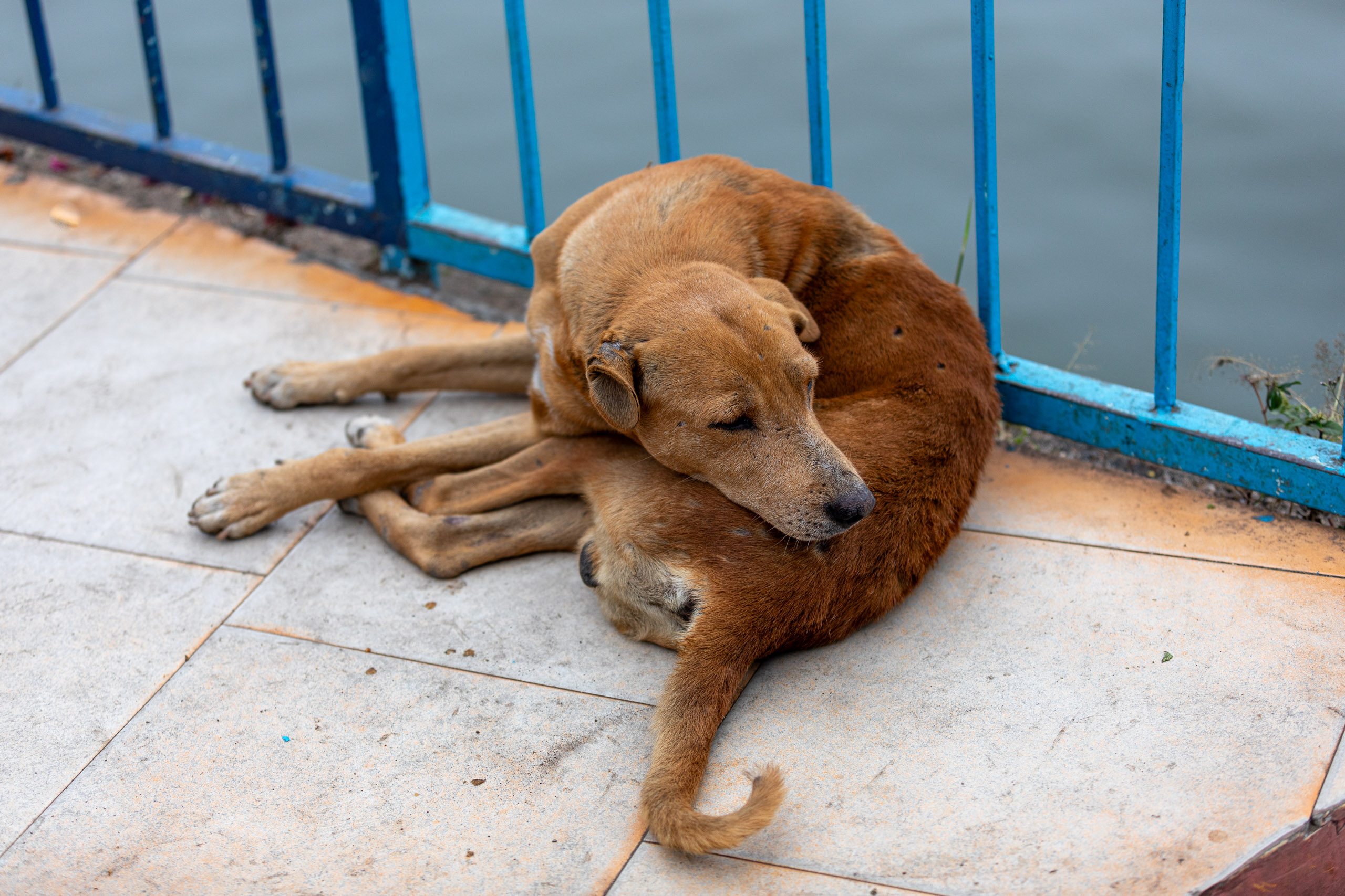 20240104094011 RD4 8898