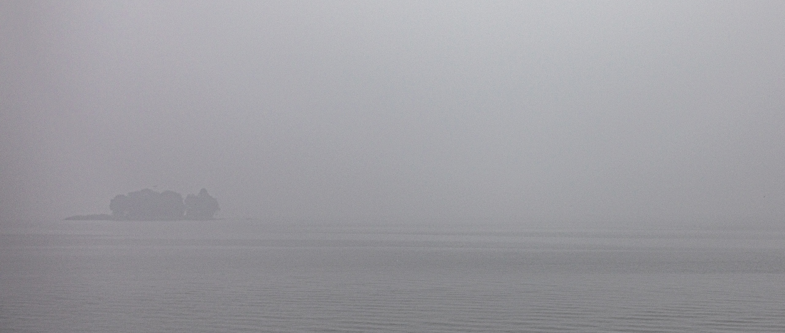 20240104094059 RD4 8924