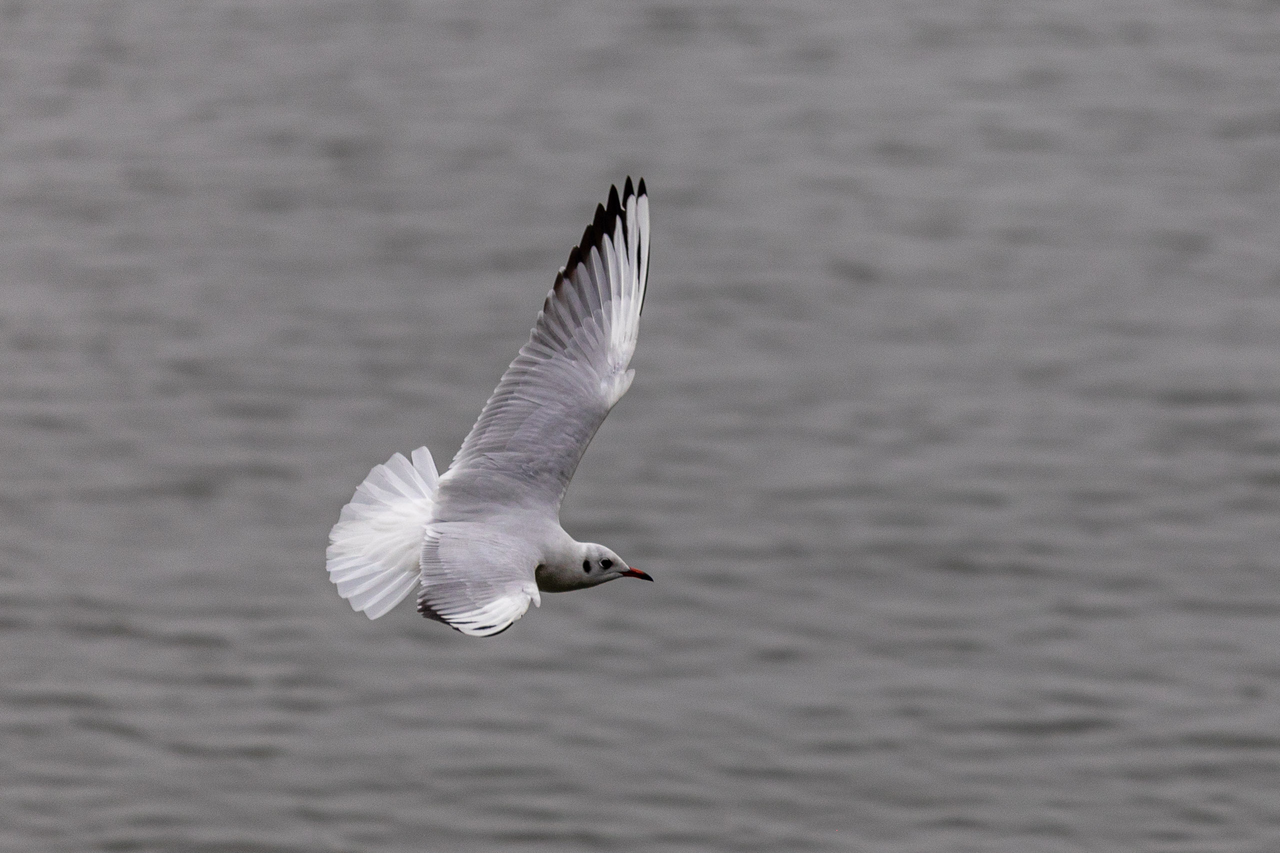 20240104094449 RD4 8971