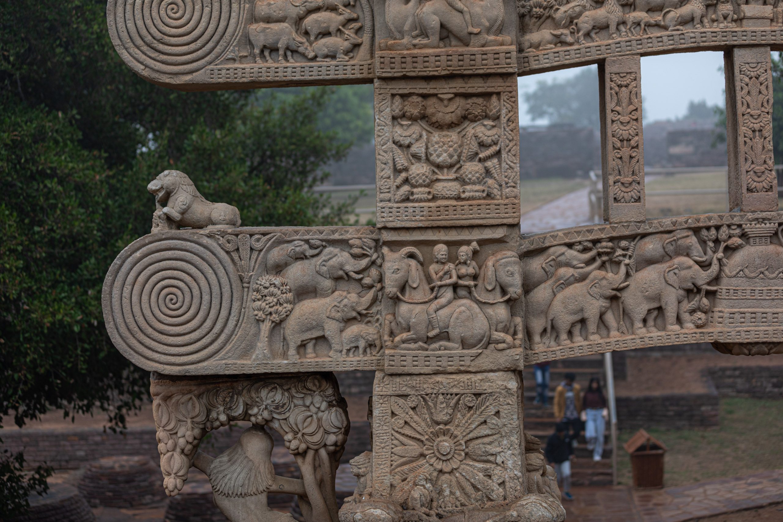 20240104123744 RD4 9021