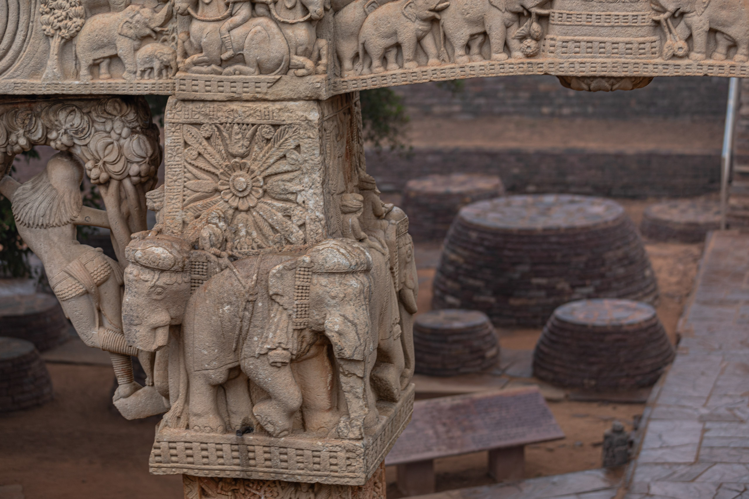 20240104123804 RD4 9028