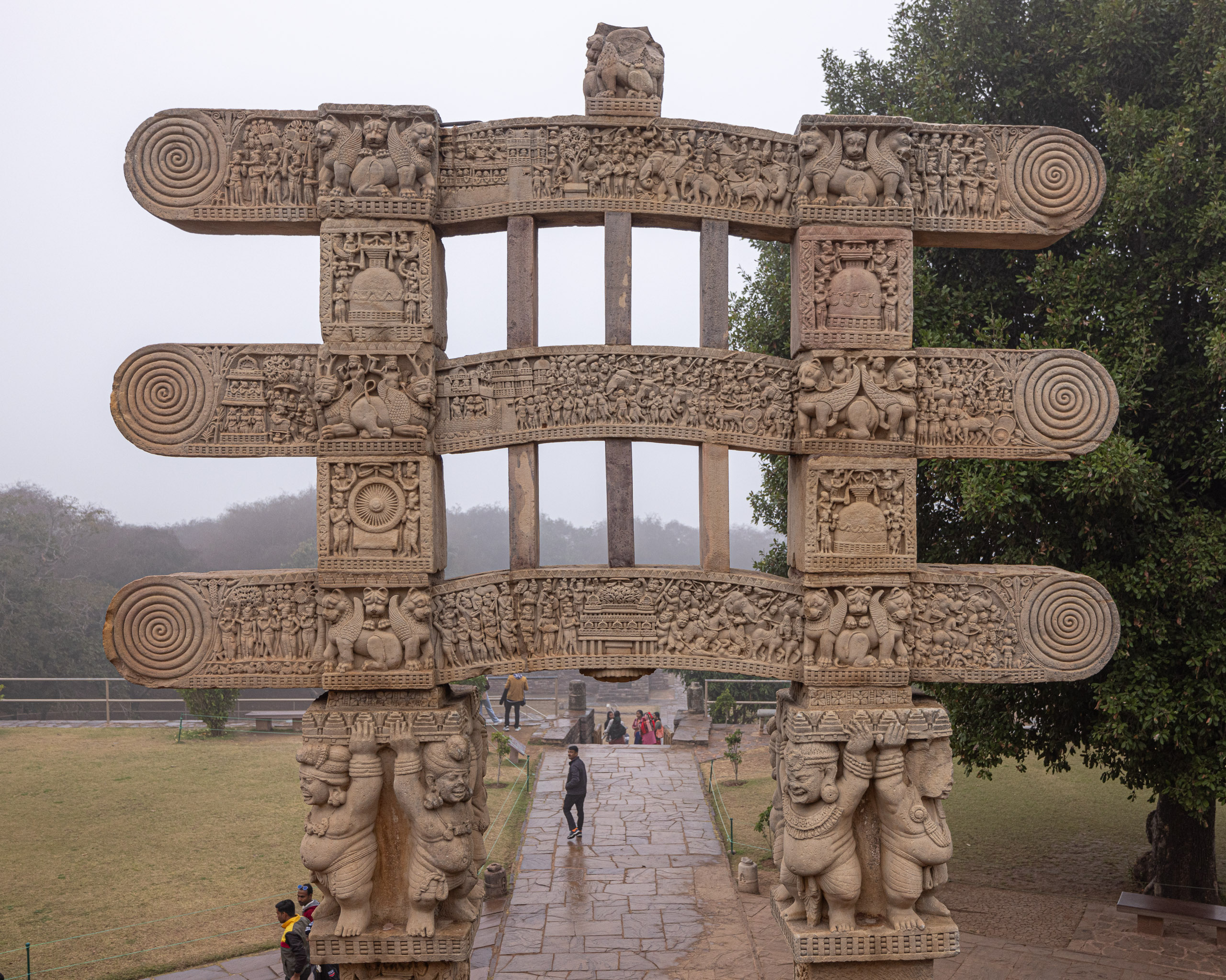 20240104124117 R5D 1210