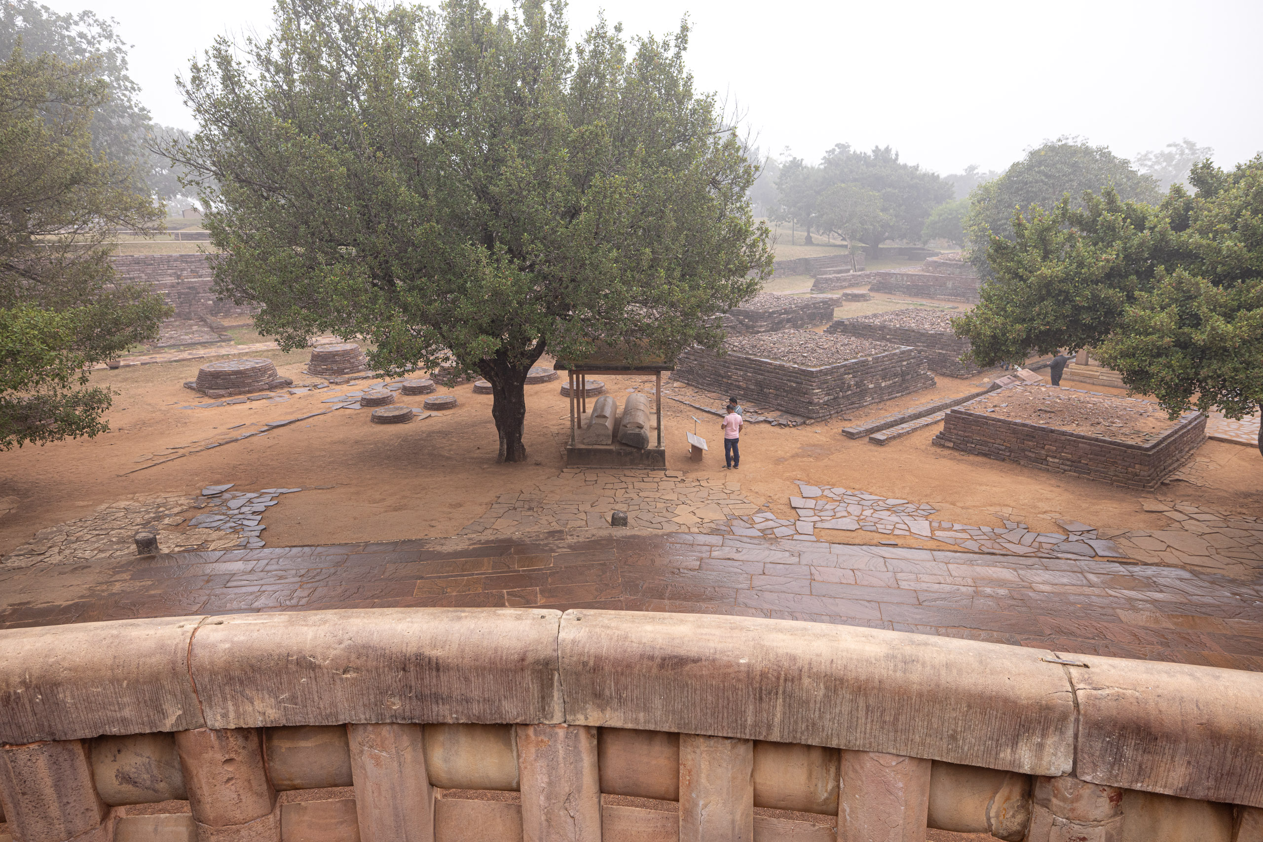 20240104124424 R5D 1233