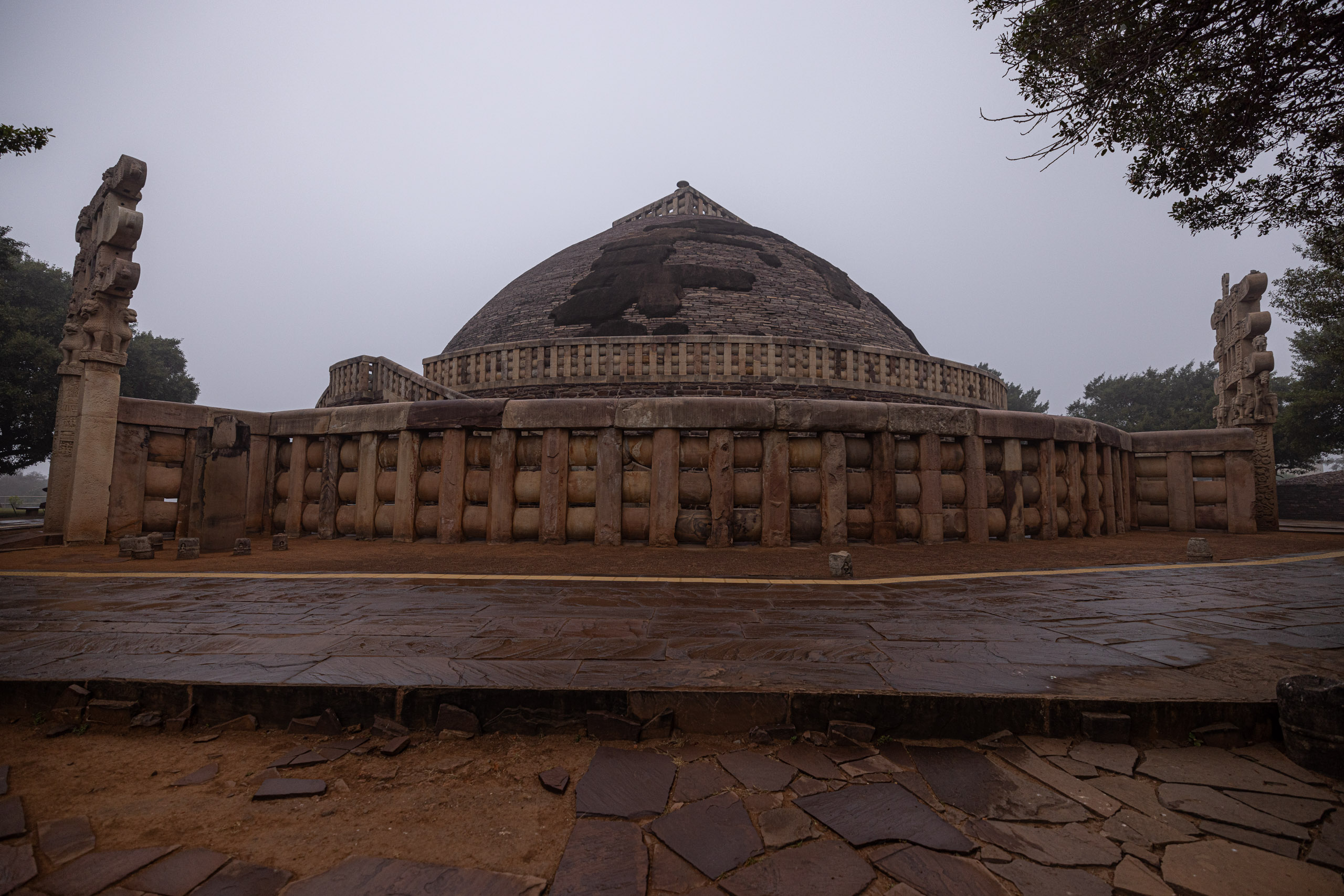 20240104125419 R5D 1289