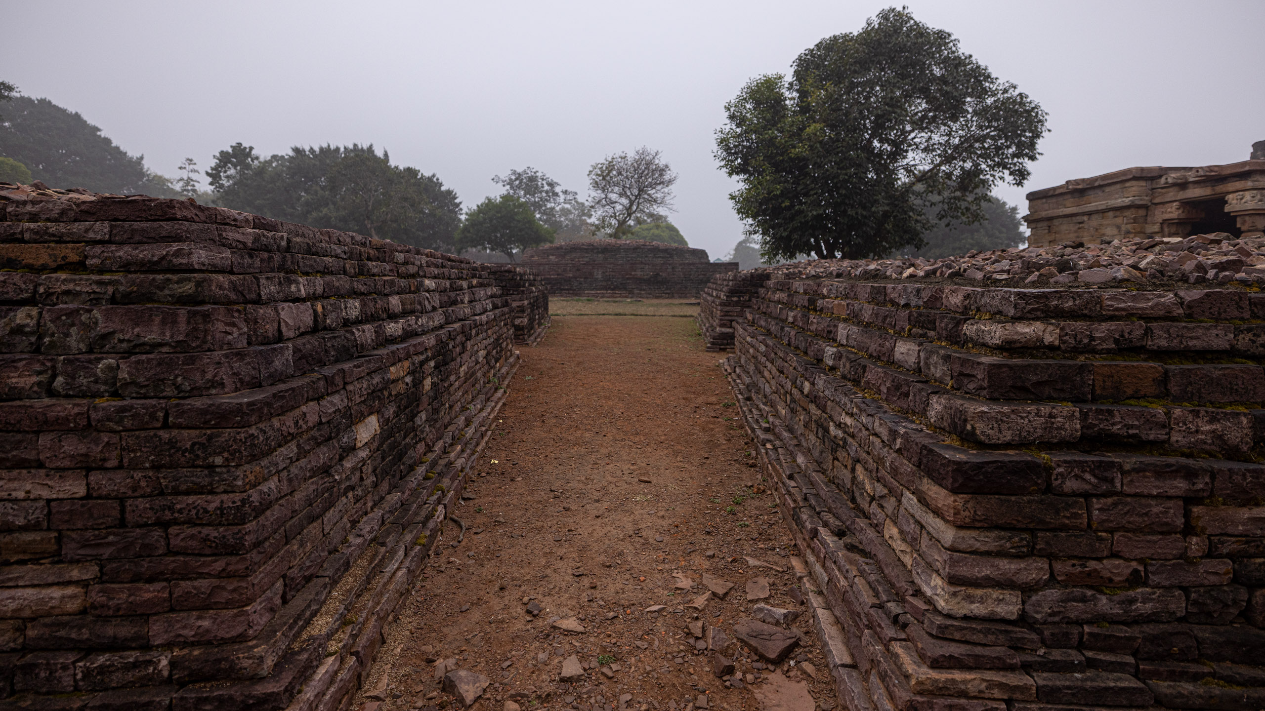 20240104125551 R5D 1299