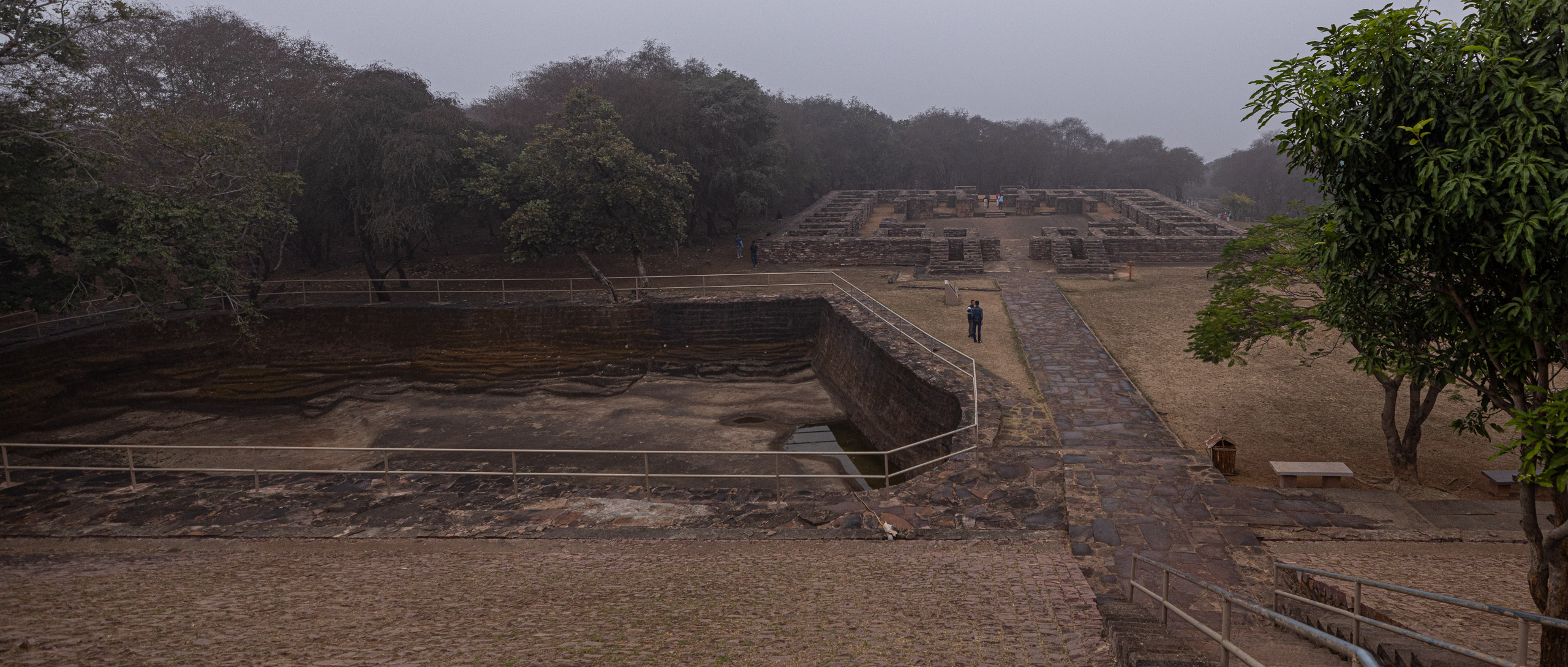 20240104130656 R5D 1345