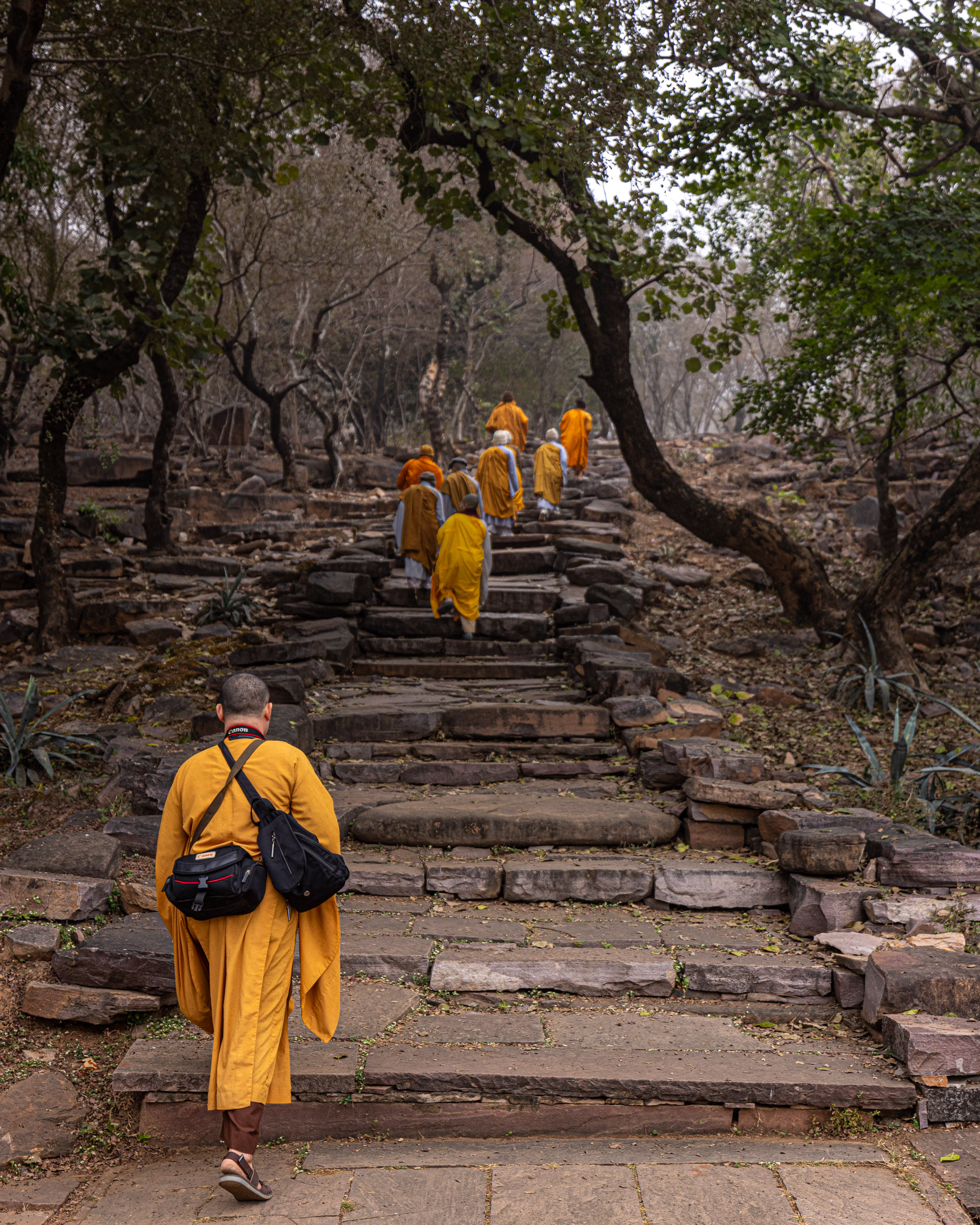 20240104134227 R5D 1375