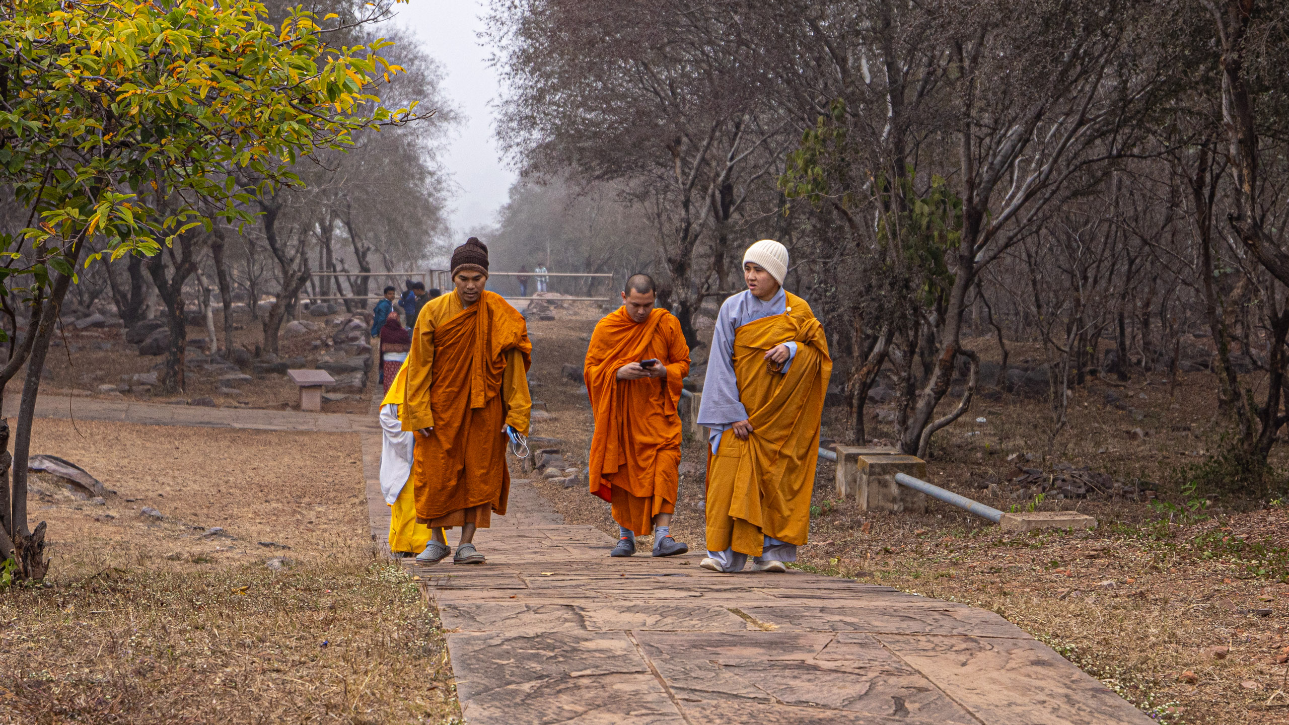 20240104135205 R5D 1395