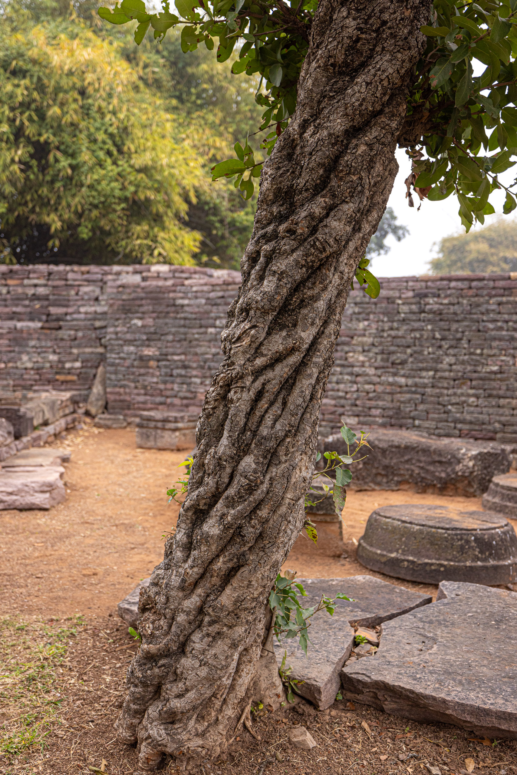 20240104140258 R5D 1421