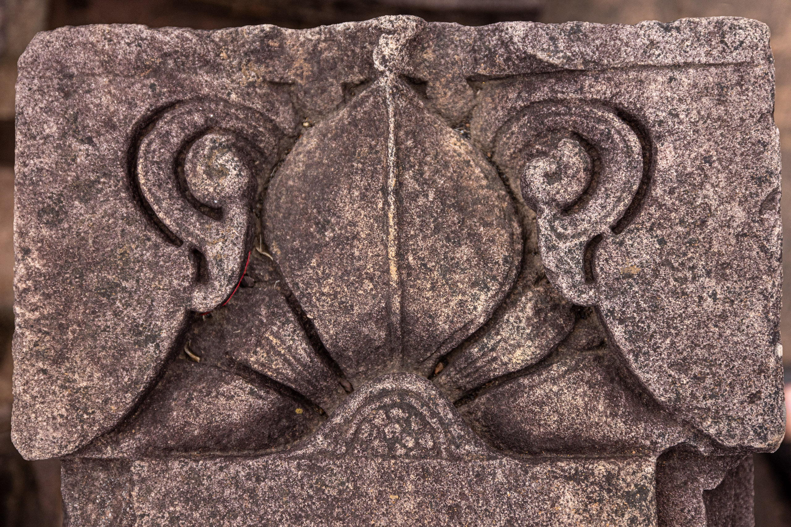 20240104140858 R5D 1430