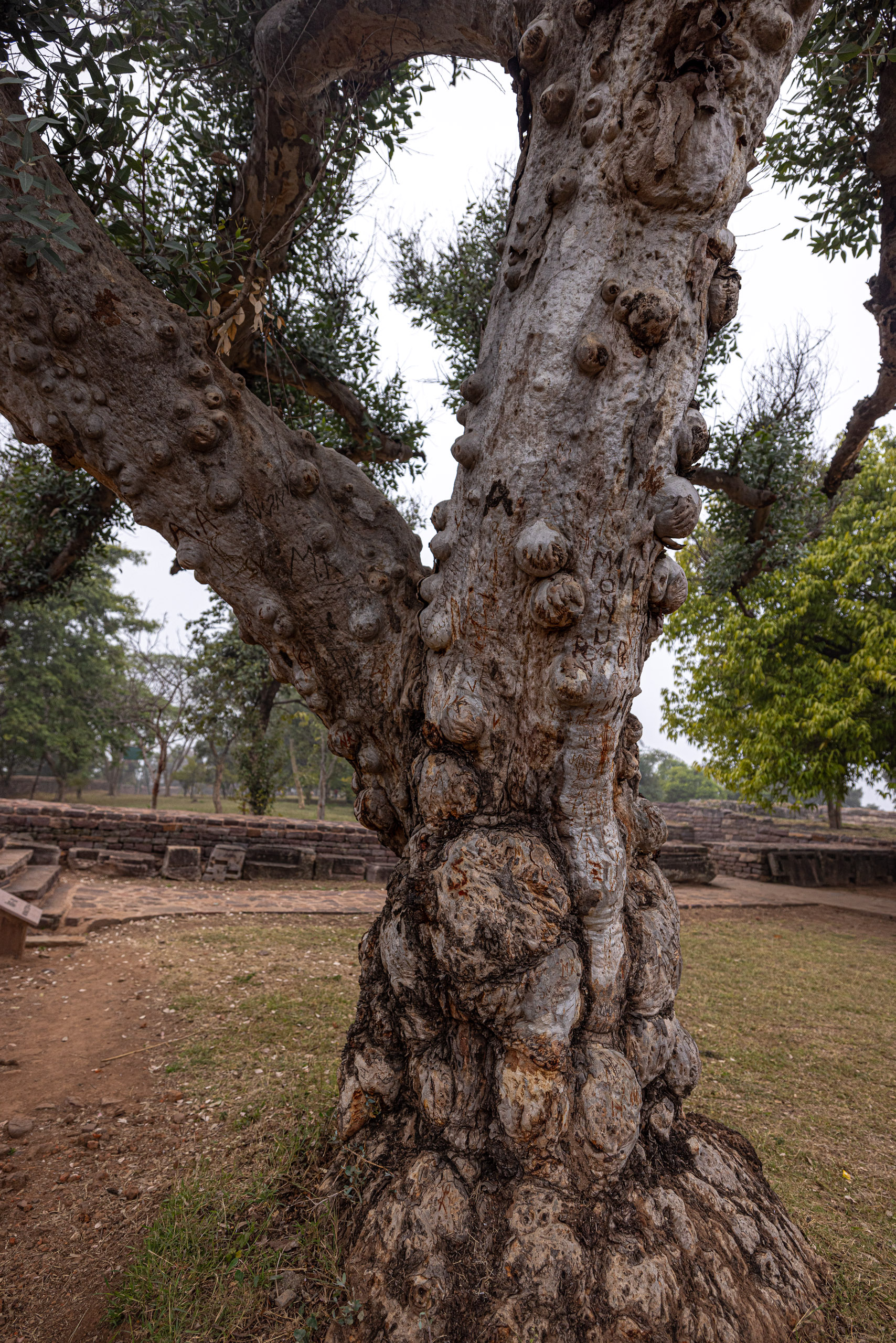 20240104141359 R5D 1449