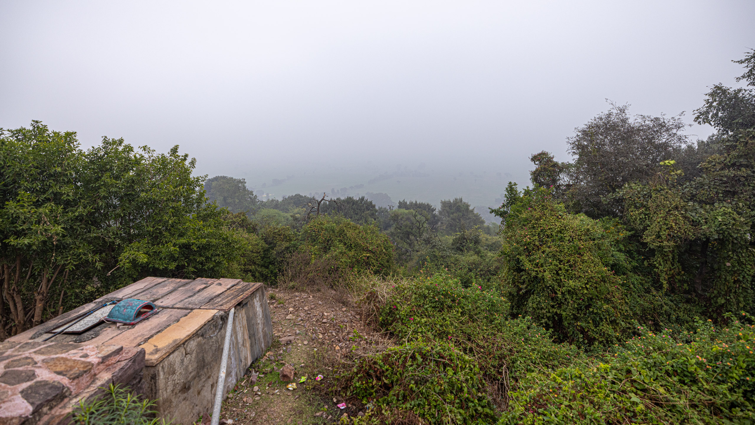 20240104141804 R5D 1457