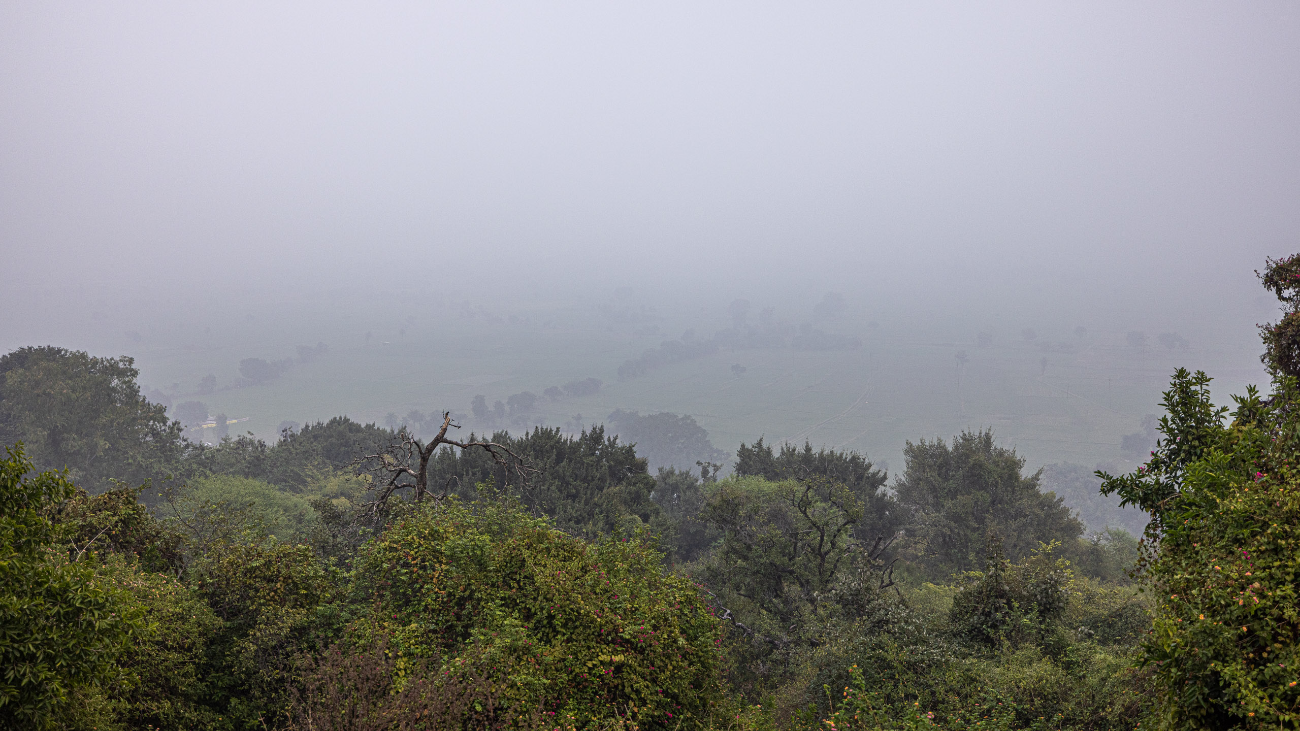 20240104141807 R5D 1458